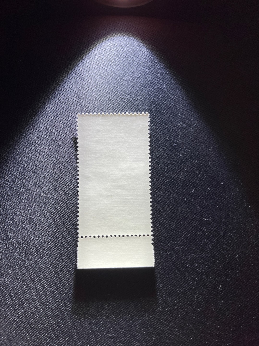 洪涛臻品 精选邮票限时拍卖第二十九期 特68新安江4-3盖销  厂名  三俗稀缺，版撕全品嘎嘎绝，背胶雪白。解放初的经典票，整版撕开，面艳胶白，票挺洁净，齿孔完美，收藏评级两相宜，且有高附加值边纸。老纪特的版票资源十分稀缺难寻，机会来临时必须抓住。   