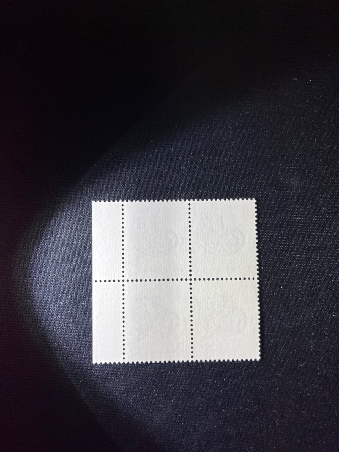 洪涛臻品 精选邮票限时拍卖第三十期 T80生肖猪 方连一组  版撕全品嘎嘎绝，齿孔饱满，背面雪白，带硅胶手套撕版没有触痕，可评级。版撕红猪数量有限，注意捡漏