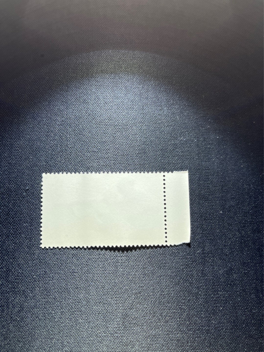 洪涛臻品 精选邮票限时拍卖第三十期 特74解放军盖销  8-4 厂铭，三俗稀缺，版撕全品嘎嘎绝。解放初的经典票，整版撕开，面艳胶白，票挺洁净，齿孔完美，收藏评级两相宜，且有高附加值边纸。老纪特的版票资源十分稀缺难寻，机会来临时必须抓住。
