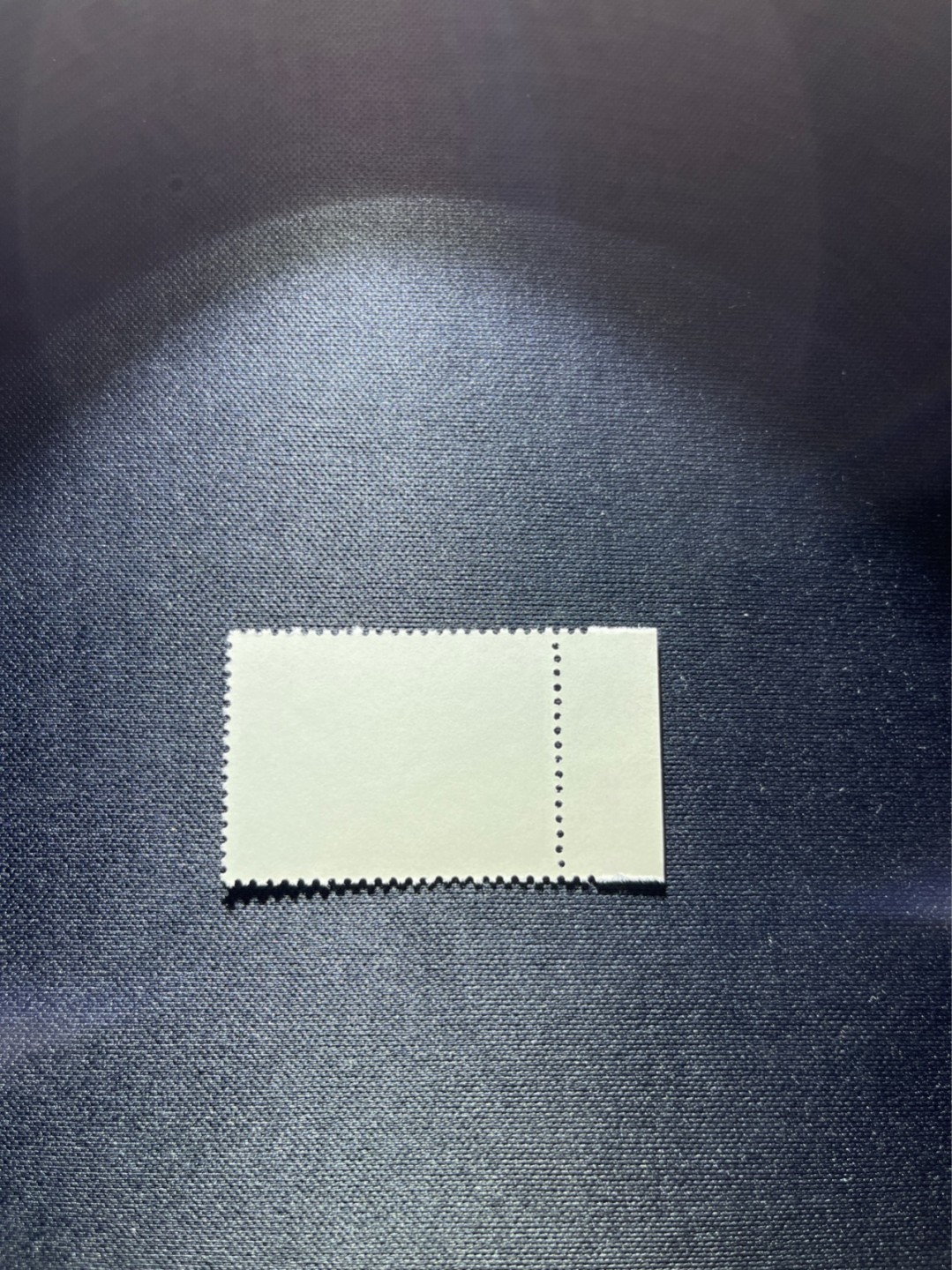 洪涛臻品 精选邮票限时拍卖第三十期 热门品种，特73井冈山  盖销  8-4  数字边一枚，经典热门小票，三俗稀缺，版撕全品嘎嘎绝，白胶润泽，撕口新，适合收藏，喜欢不要错过，全品可评级