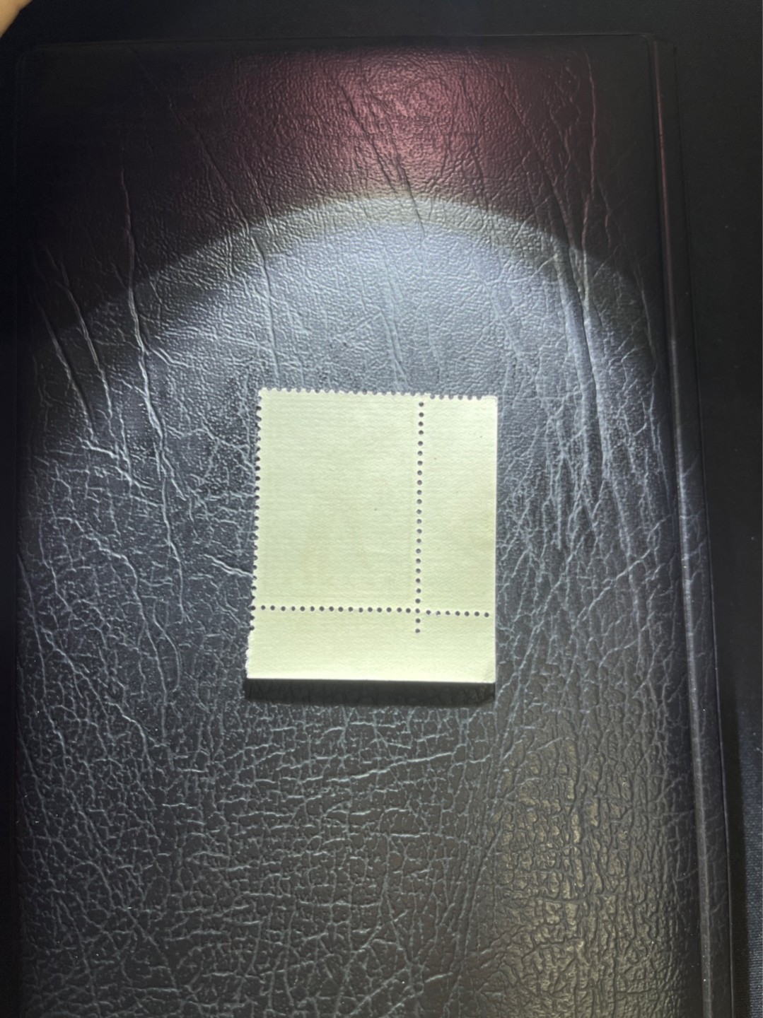 洪涛臻品 精选邮票限时拍卖第三十期 特63青铜器8-1盖销  色标，版撕全品嘎嘎绝。  解放初的经典票，整版撕开，面艳胶白，票挺洁净，齿孔完美，收藏评级两相宜，且有高附加值边纸。老纪特的版票资源十分稀缺难寻，机会来临时必须抓住。