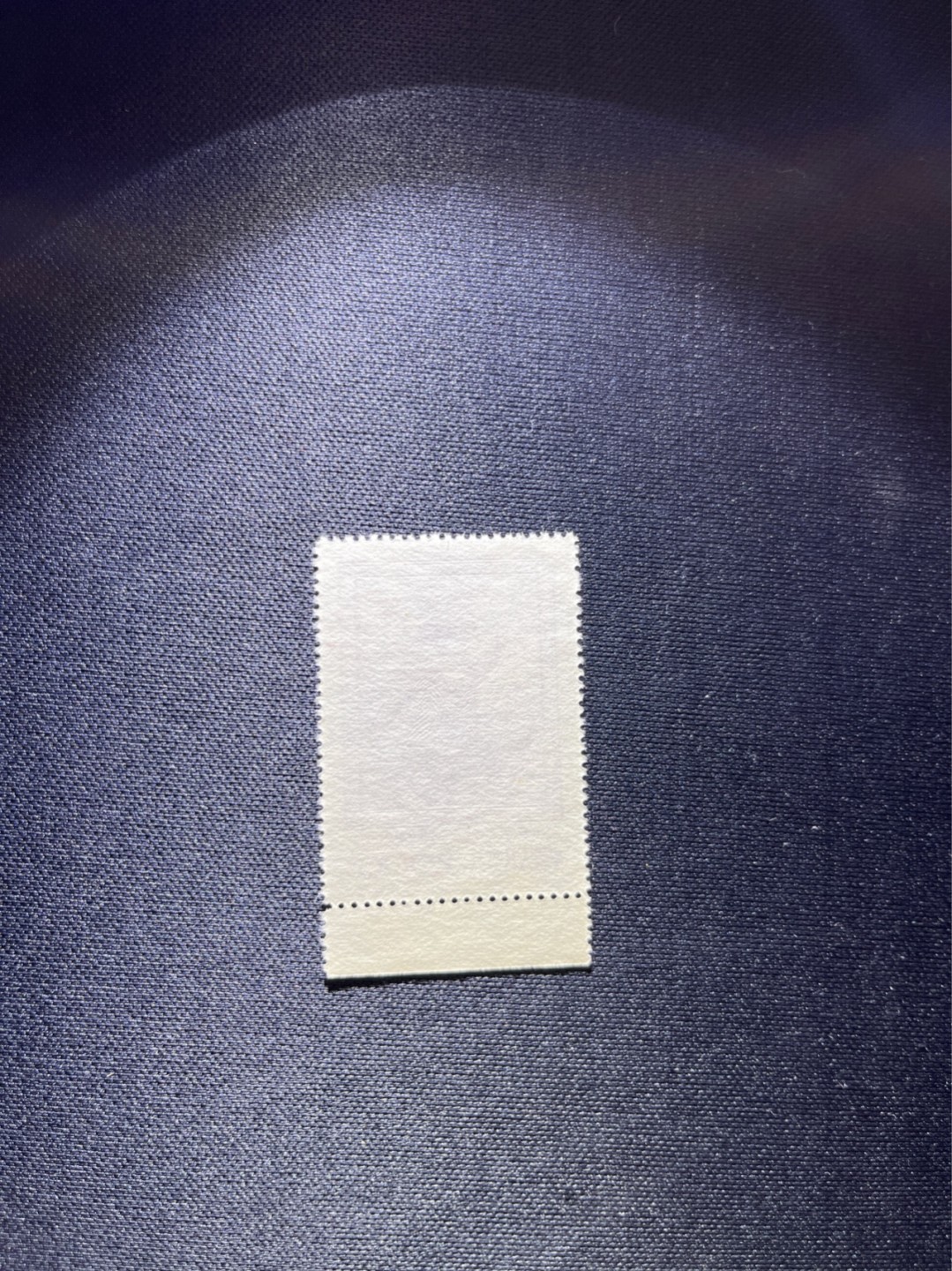 洪涛臻品 精选邮票限时拍卖第三十期 纪26列宁新 总筋3-2 带边纸1枚  版撕全品嘎嘎绝，收藏级品相★总筋一枚几乎等于一套票★老纪特经典票，ASG90分一套价格1500元左右，博分首选，收藏或评级必须选版撕票，注意捡漏