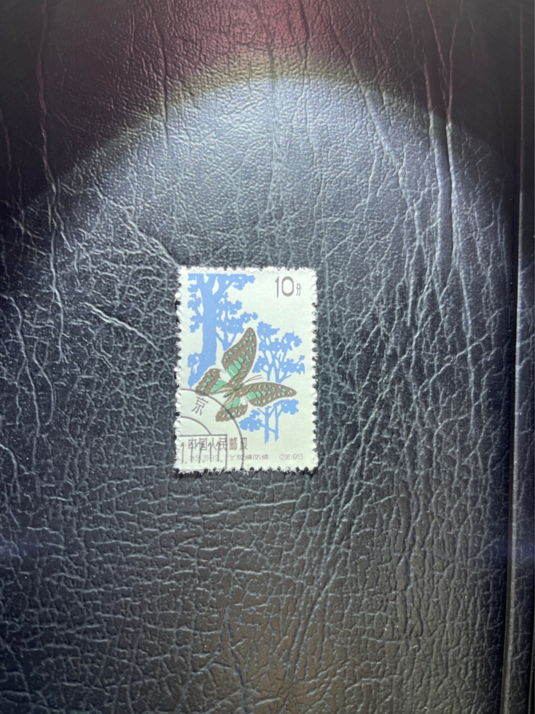 洪涛臻品 精选邮票限时拍卖第三十期 特56蝴蝶盖销  20-12一枚，版撕全品嘎嘎绝，钢戳，面艳胶白，六珍之一，非常受欢迎的品种，新票价格高，盖销全品不要错过