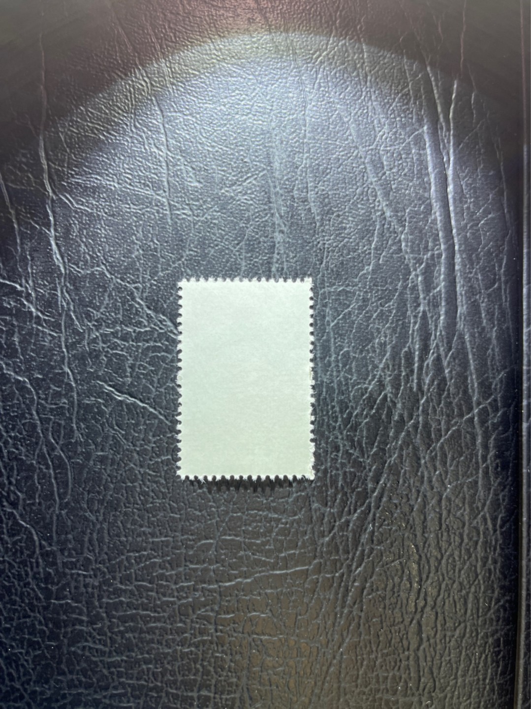 洪涛臻品 精选邮票限时拍卖第三十期 特56蝴蝶盖销  20-10一枚，版撕全品嘎嘎绝，钢戳，面艳胶白，六珍之一，非常受欢迎的品种，新票价格高，盖销全品不要错过