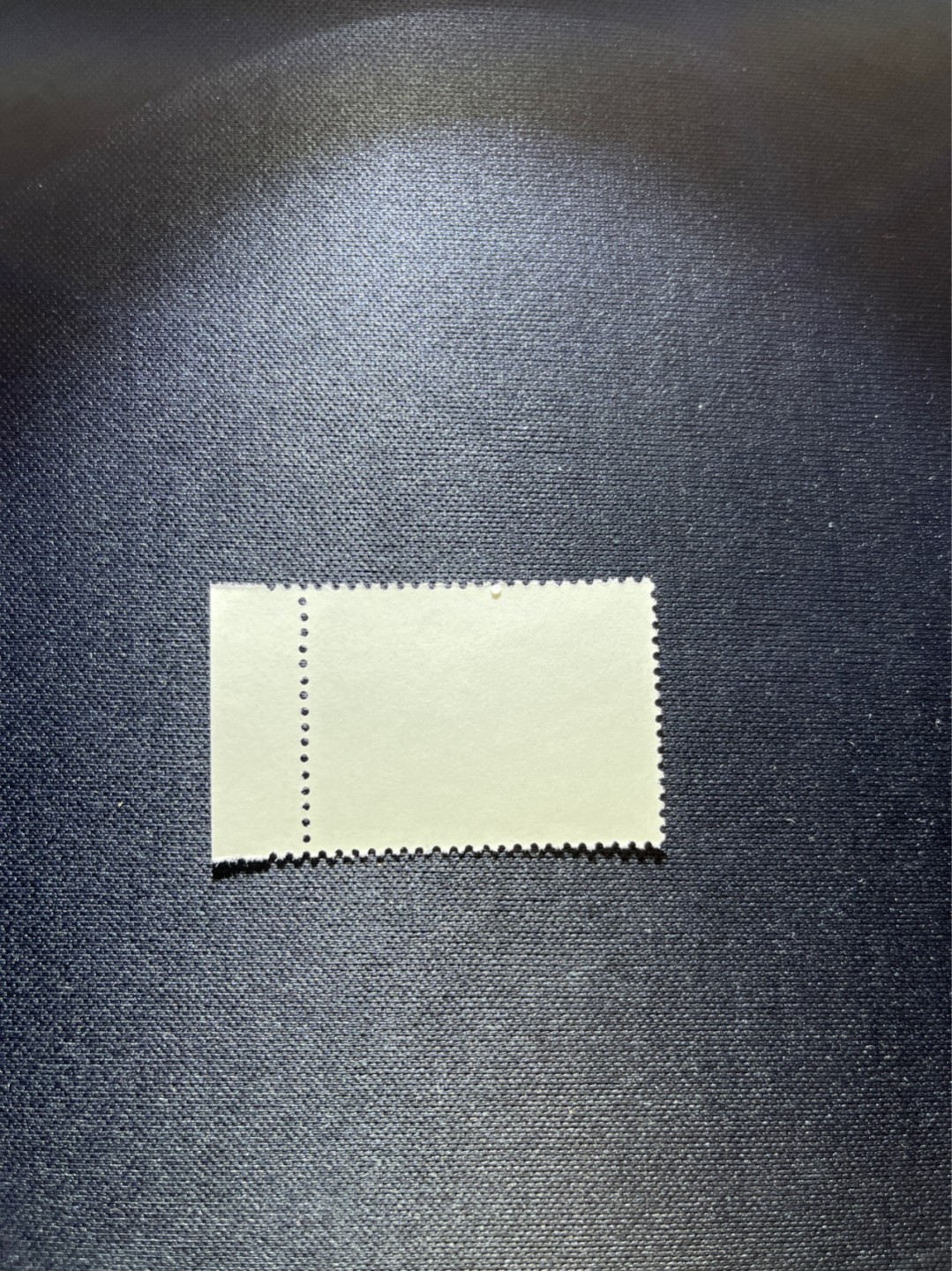洪涛臻品 精选邮票限时拍卖第三十期 热门品种，特73井冈山  盖销  8-4 一枚，经典热门小票，版撕全品嘎嘎绝，白胶润泽，撕口新，适合收藏，喜欢不要错过，全品可评级