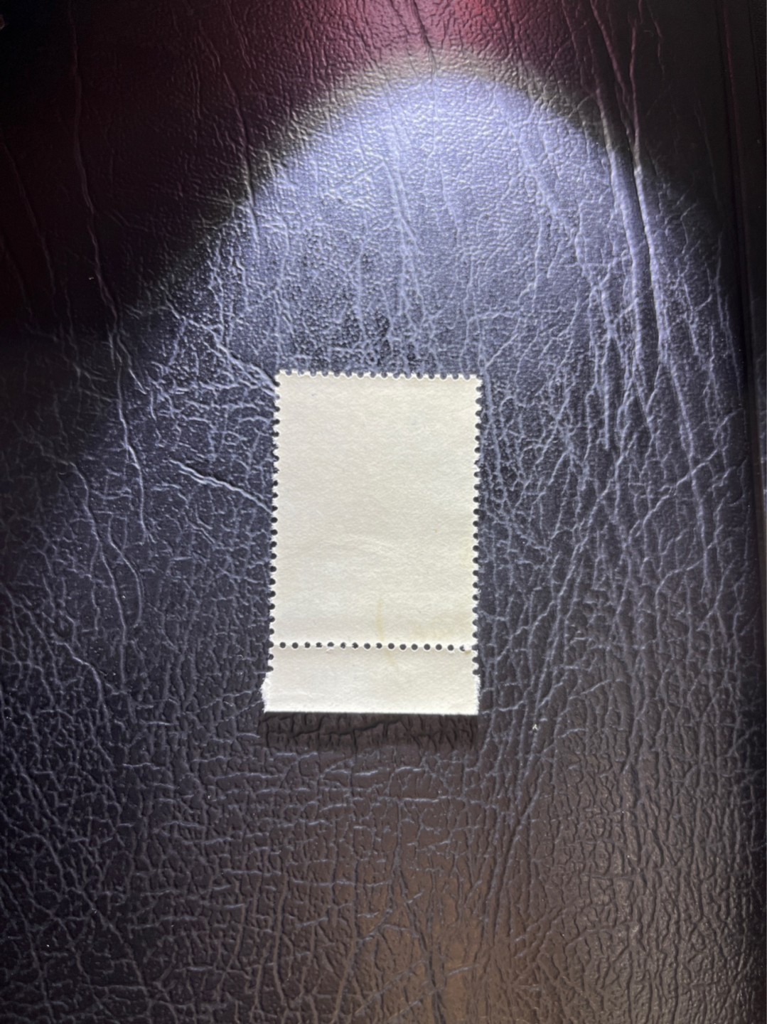 洪涛臻品 精选邮票限时拍卖第三十期 纪92古科  8-4 盖销  版撕全品嘎嘎绝 厂名  边纸小裂口，票完美。   解放初的经典票，整版撕开，面艳胶白，票挺洁净，齿孔完美，收藏评级两相宜，且有高附加值边纸。老纪特的版票资源十分稀缺难寻，机会来临时必须抓住。  