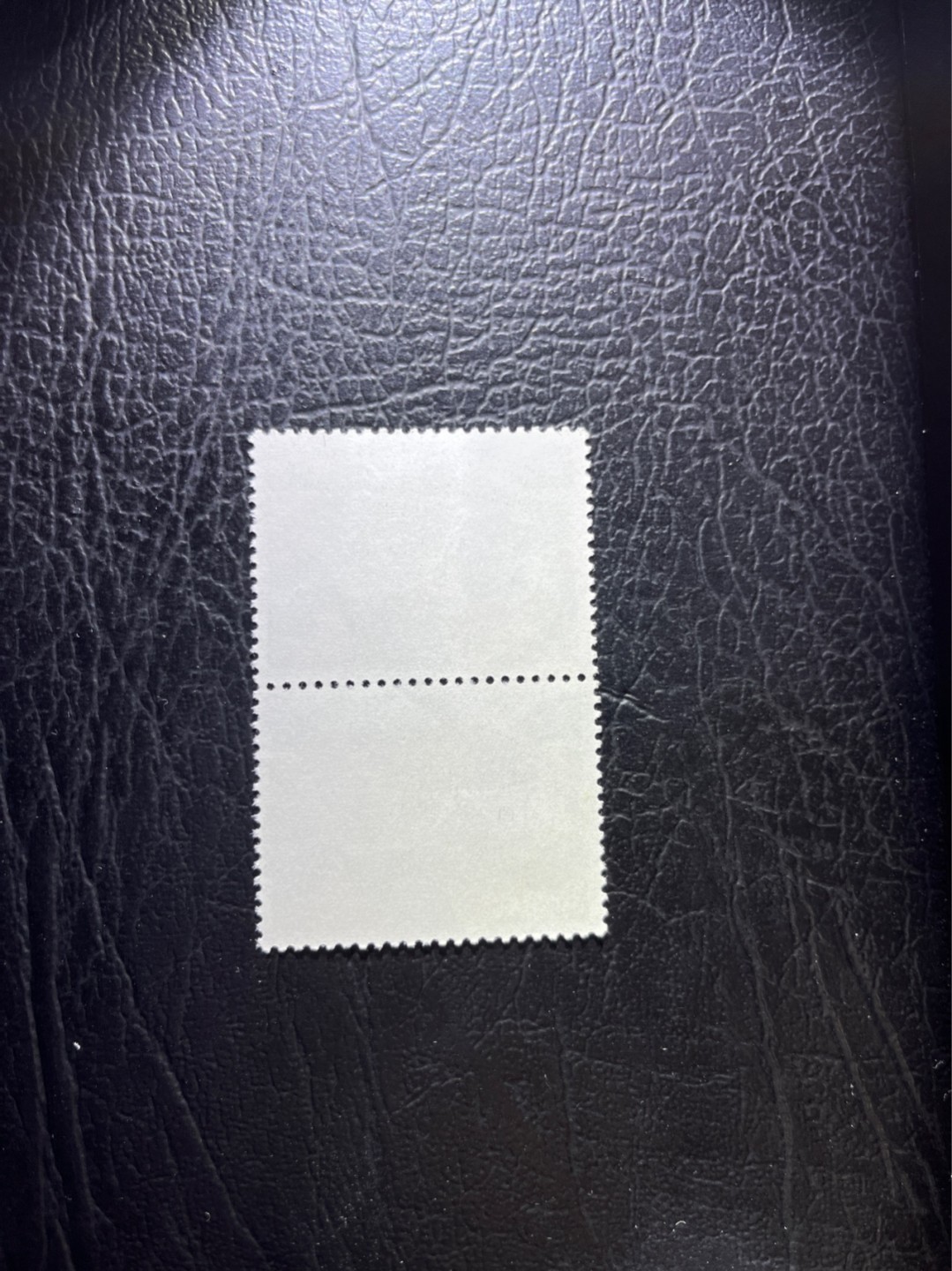 洪涛臻品 精选邮票限时拍卖第三十期 文17  10分  2连一组，全品，喜欢不要错过，全品可评级。全网及邮票市场裸票资源枯竭，大多数全品都已送去评级，尤其是全品老纪特十分难寻，把握机会！