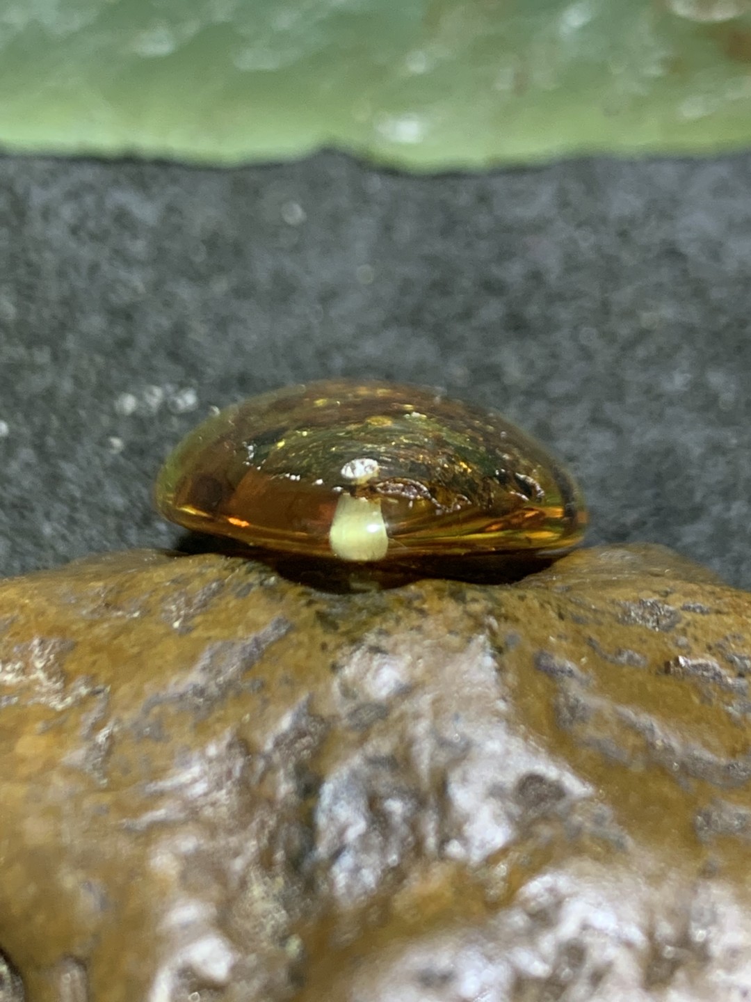 乌克兰花珀水滴形吊坠一个，
