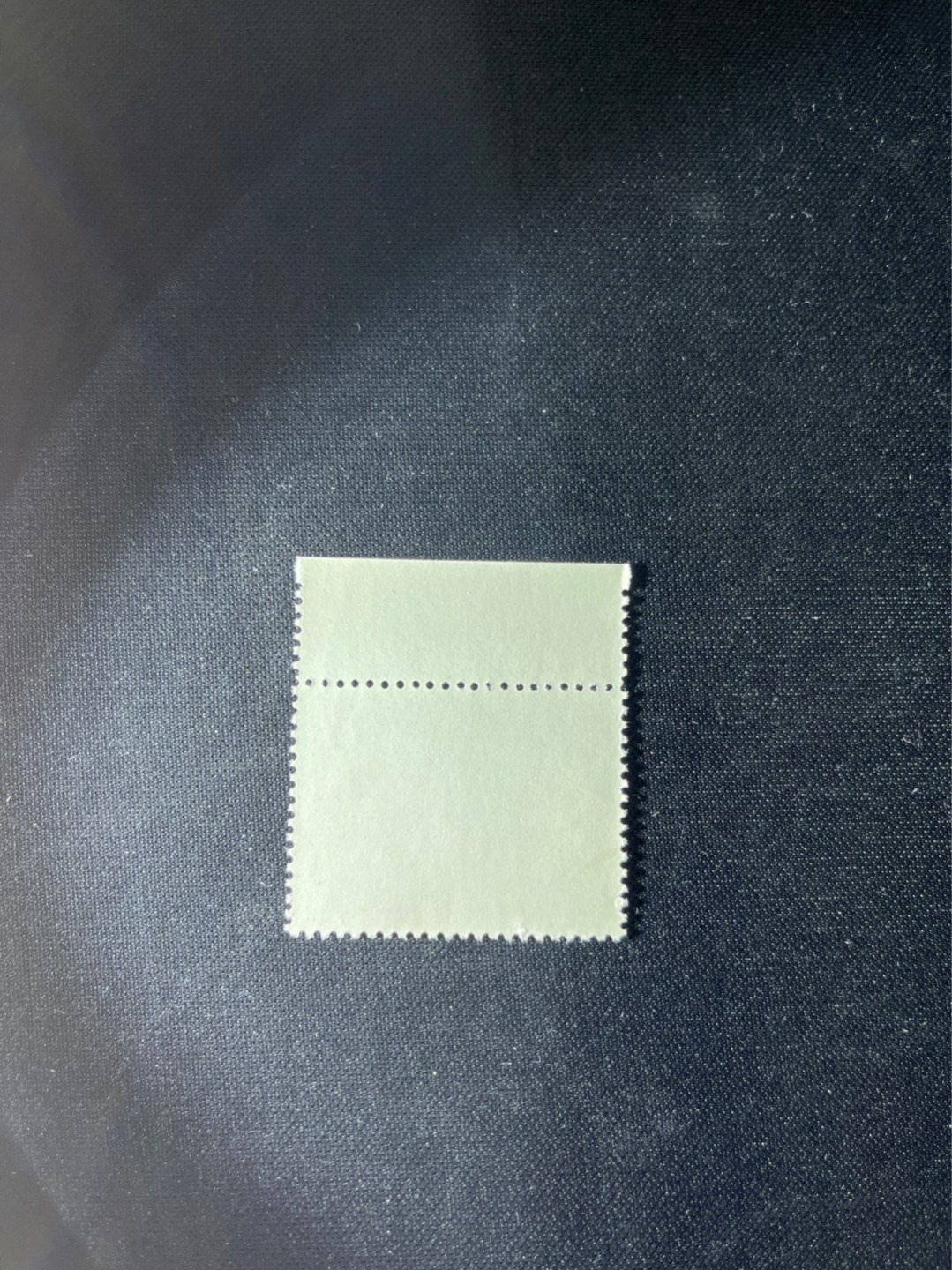 洪涛臻品 精选邮票限时拍卖第三十期 特73井冈山盖销  8-4 纯红满色色标，三俗稀缺，版撕全品嘎嘎绝，解放初的经典票，整版撕开，面艳胶白，票挺洁净，齿孔完美，收藏评级两相宜，且有高附加值边纸。老纪特的版票资源十分稀缺难寻，机会来临时必须抓住。