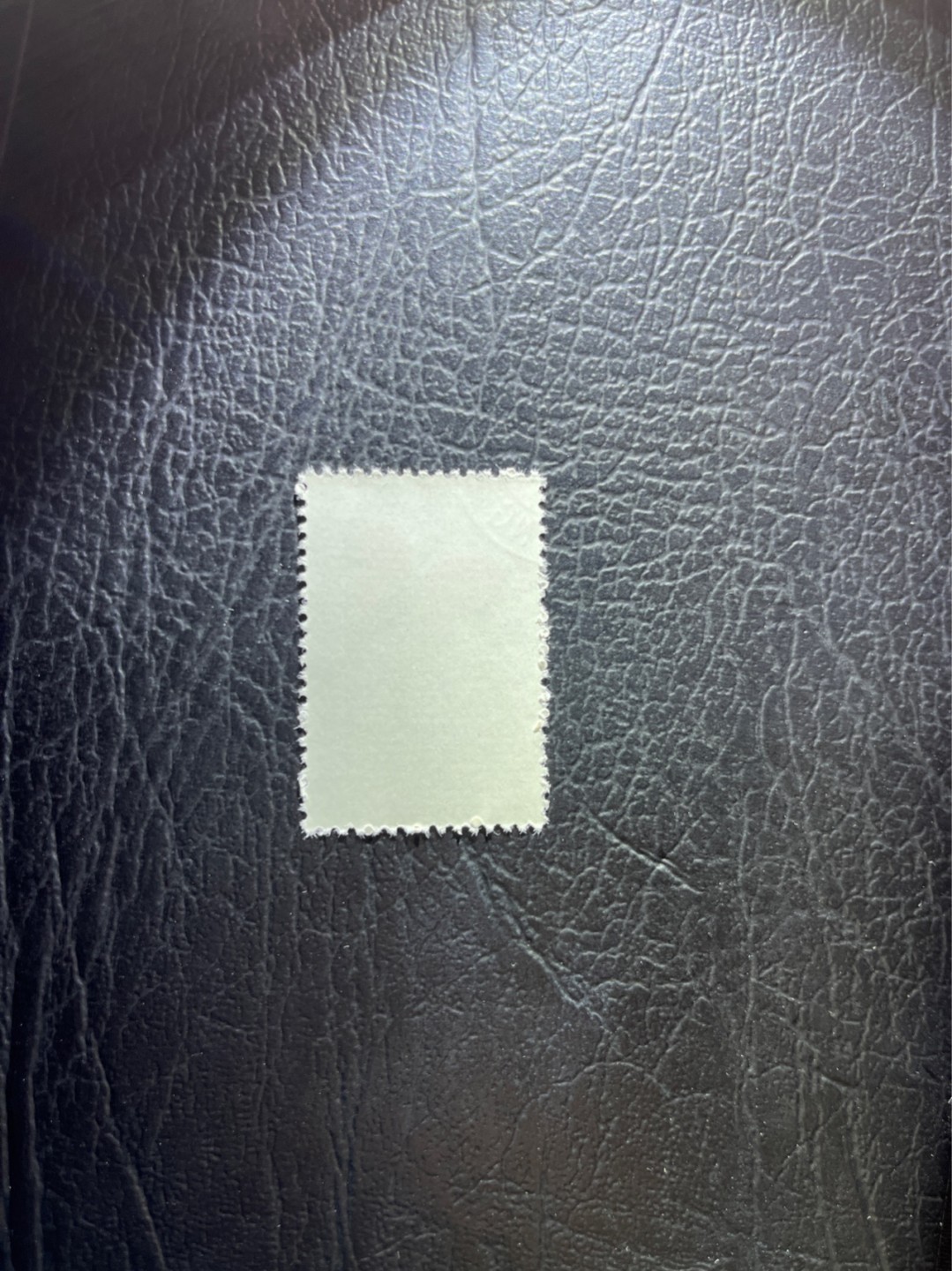 洪涛臻品 精选邮票限时拍卖第三十五期 特56蝴蝶盖销  20-8一枚，版撕全品嘎嘎绝，钢戳，面艳胶白，六珍之一，非常受欢迎的品种，新票价格高，盖销全品不要错过