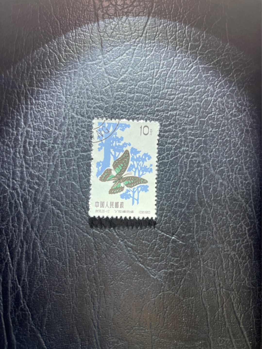 洪涛臻品 精选邮票限时拍卖第三十五期 特56蝴蝶盖销  20-12一枚，版撕全品嘎嘎绝，钢戳，面艳胶白，六珍之一，非常受欢迎的品种，新票价格高，盖销全品不要错过