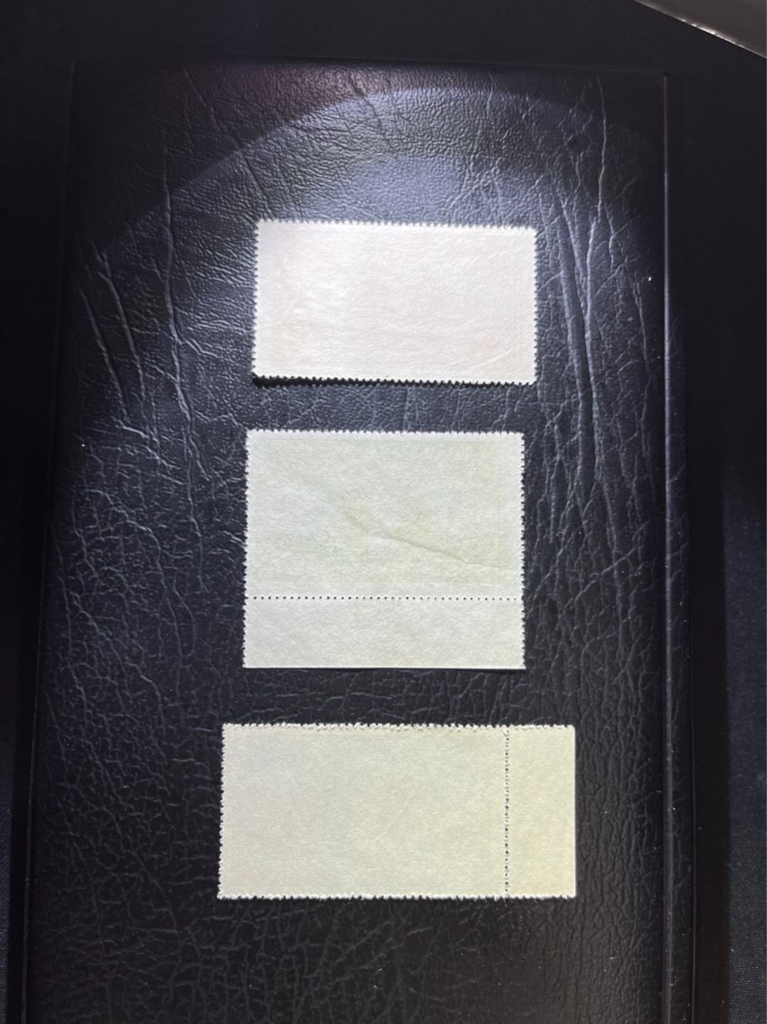 洪涛臻品 精选邮票限时拍卖第三十一期 纪8中苏新全，版撕全品，正常的轻微压痕，老纪特的版票资源十分稀缺难寻，机会来临时必须抓住。  