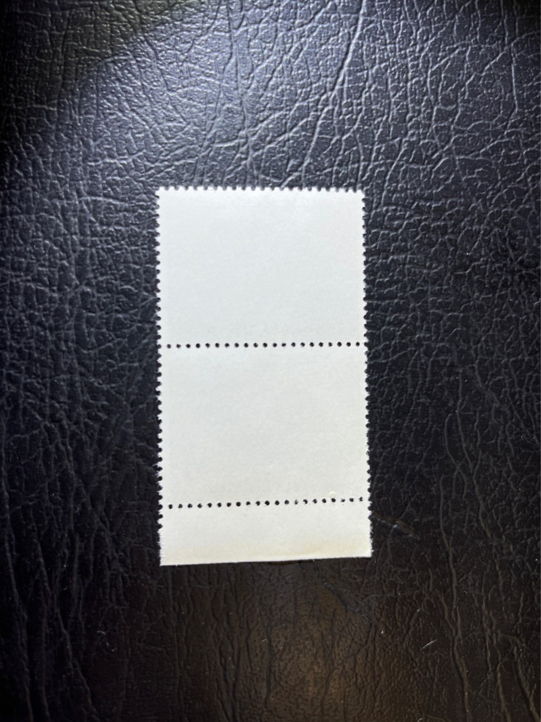 洪涛臻品 精选邮票限时拍卖第三十一期 编号巴黎公社 N11  2连带边一组，编号票中的龙头，版撕全品嘎嘎绝，收藏级品相。齿孔新且饱满，全品可评级，注意捡漏