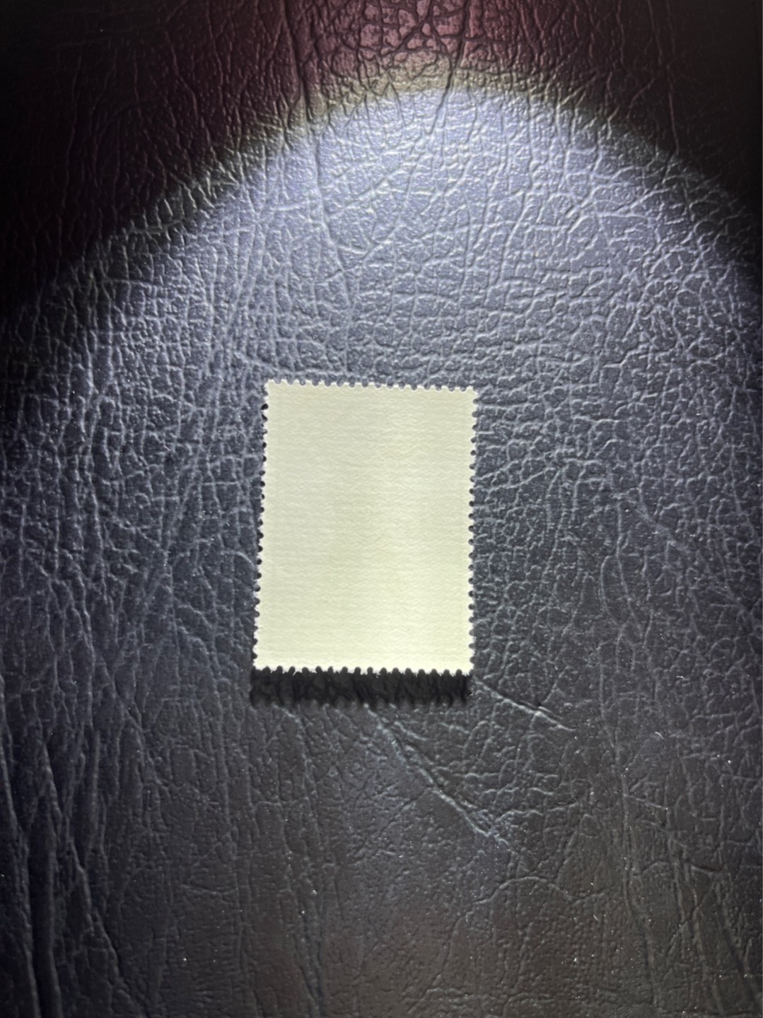 洪涛臻品 精选邮票限时拍卖第三十一期 特63青铜器8-1盖销 ，版撕全品嘎嘎绝。解放初的经典票，整版撕开，面艳胶白，票挺洁净，齿孔完美，收藏评级两相宜。老纪特的版票资源十分稀缺难寻，机会来临时必须抓住。