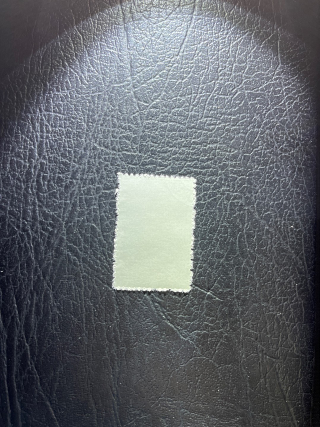 洪涛臻品 精选邮票限时拍卖第三十五期 特56蝴蝶盖销  20-15一枚，版撕全品嘎嘎绝，钢戳，面艳胶白，六珍之一，非常受欢迎的品种，新票价格高，盖销全品不要错过