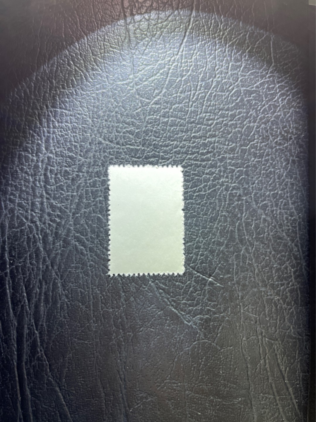 洪涛臻品 精选邮票限时拍卖第三十五期 特56蝴蝶盖销  20-12一枚，版撕全品嘎嘎绝，钢戳，面艳胶白，六珍之一，非常受欢迎的品种，新票价格高，盖销全品不要错过