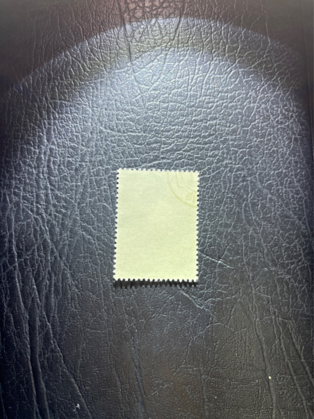 洪涛臻品 精选邮票限时拍卖第三十一期 纪92古科  8-3 盖销  版撕全品嘎嘎绝。解放初的经典票，整版撕开，面艳胶白，票挺洁净，齿孔完美，收藏评级两相宜。老纪特的版票资源十分稀缺难寻，机会来临时必须抓住。