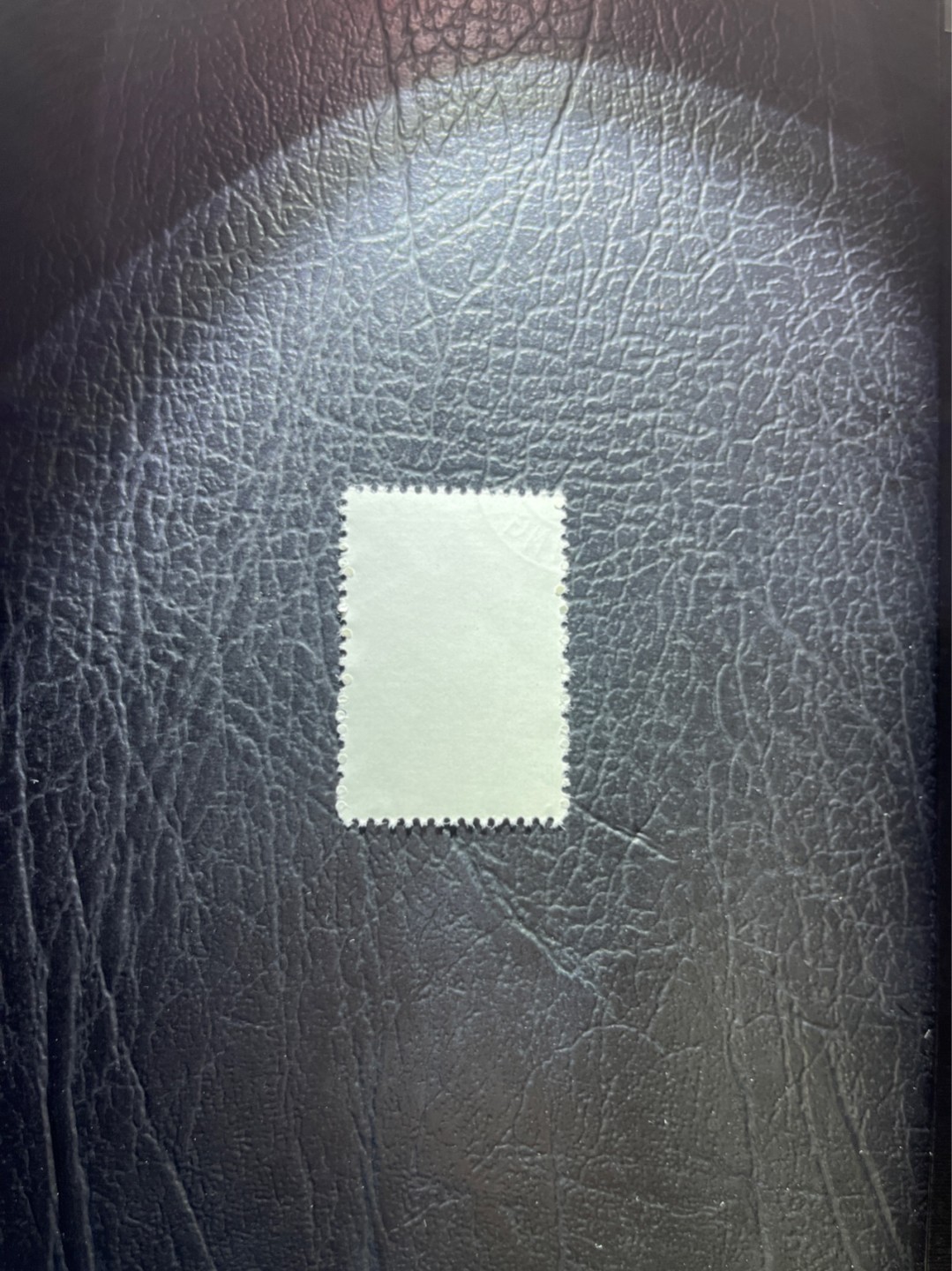 洪涛臻品 精选邮票限时拍卖第三十五期 特56蝴蝶盖销  20-10一枚，版撕全品嘎嘎绝，钢戳，面艳胶白，六珍之一，非常受欢迎的品种，新票价格高，盖销全品不要错过