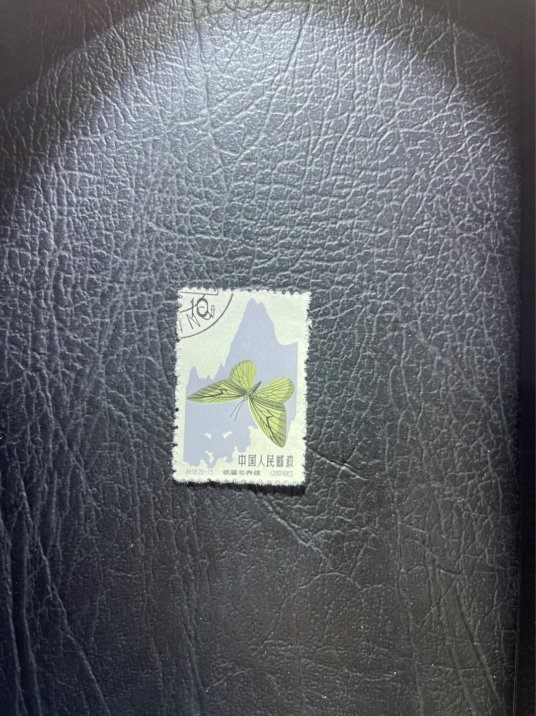 洪涛臻品 精选邮票限时拍卖第三十五期 特56蝴蝶盖销  20-15一枚，版撕全品嘎嘎绝，钢戳，面艳胶白，六珍之一，非常受欢迎的品种，新票价格高，盖销全品不要错过