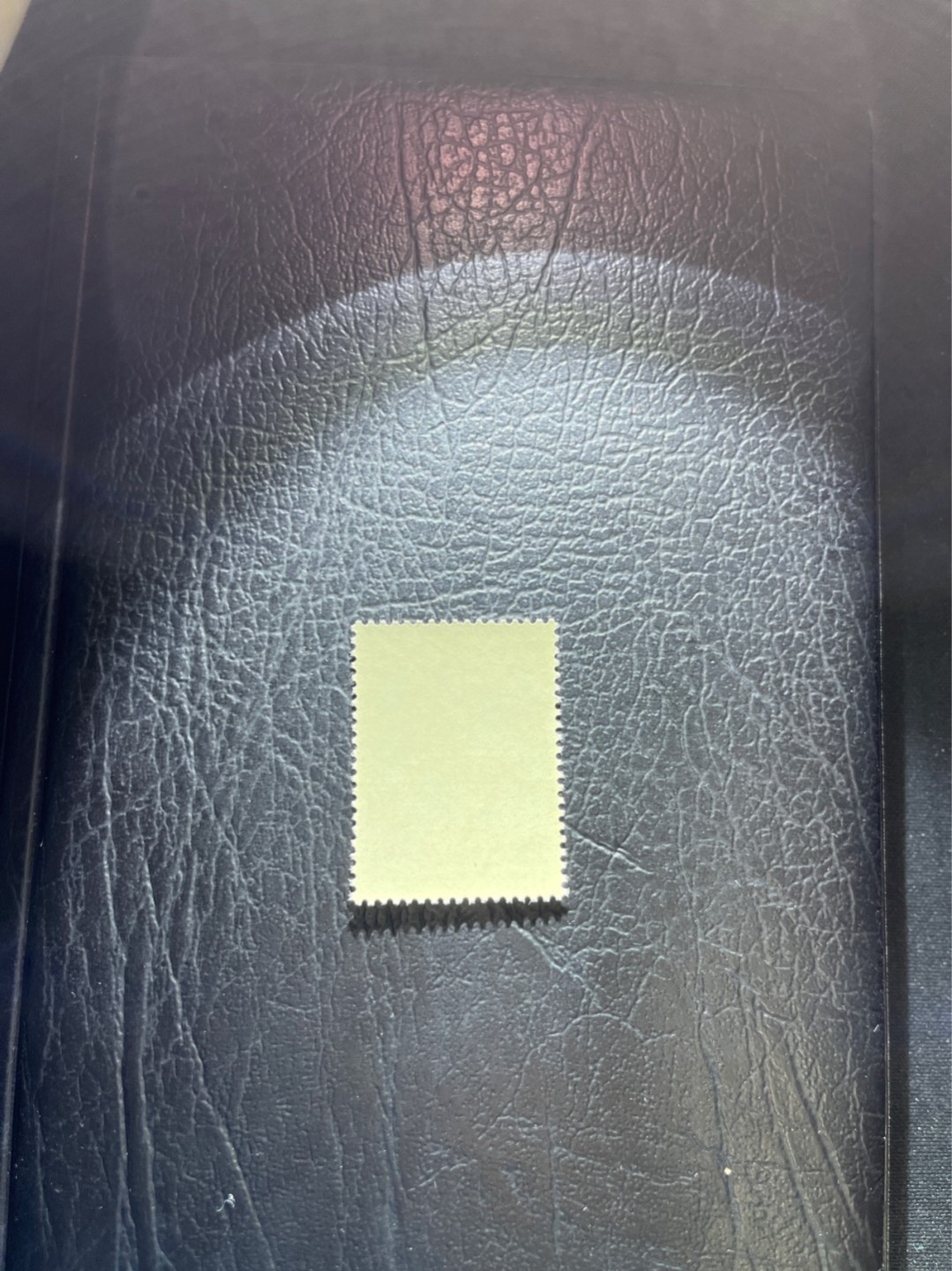 洪涛臻品 精选邮票限时拍卖第三十一期 纪92古科  8-2 盖销  版撕全品嘎嘎绝 。解放初的经典票，整版撕开，面艳胶白，票挺洁净，齿孔完美，收藏评级两相宜，且有高附加值边纸。老纪特的版票资源十分稀缺难寻，机会来临时必须抓住。