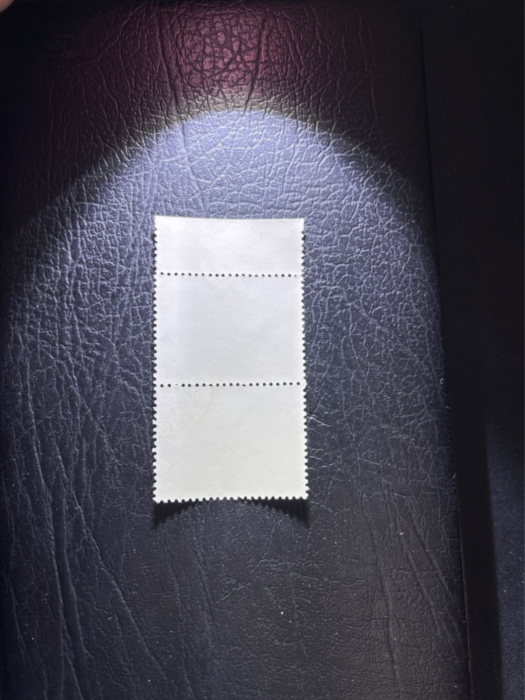 洪涛臻品 精选邮票限时拍卖第三十一期 热门品种，特73井冈山  盖销  8-4  竖2连色标一组 ，版撕全品嘎嘎绝，经典热门小票，版撕全品嘎嘎绝，面艳胶白，撕口新，适合收藏，喜欢不要错过，全品可评级《ASG评级处于初级阶段，趁便宜囤精品版撕票，后市不可估量》