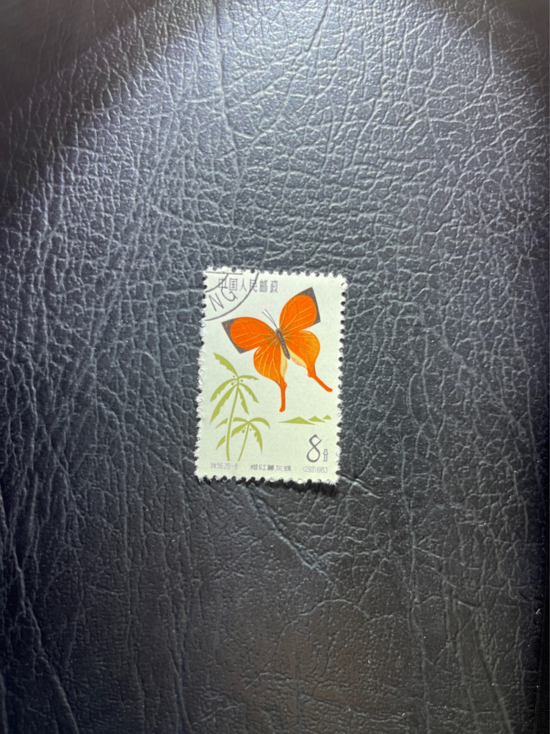 洪涛臻品 精选邮票限时拍卖第三十五期 特56蝴蝶盖销  20-8一枚，版撕全品嘎嘎绝，钢戳，面艳胶白，六珍之一，非常受欢迎的品种，新票价格高，盖销全品不要错过