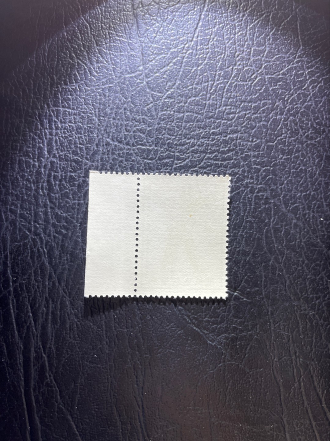 洪涛臻品 精选邮票限时拍卖第三十一期 特63青铜器8-1盖销  满色标，版撕全品嘎嘎绝。  解放初的经典票，整版撕开，面艳胶白，票挺洁净，齿孔完美，收藏评级两相宜，且有高附加值边纸。老纪特的版票资源十分稀缺难寻，机会来临时必须抓住。