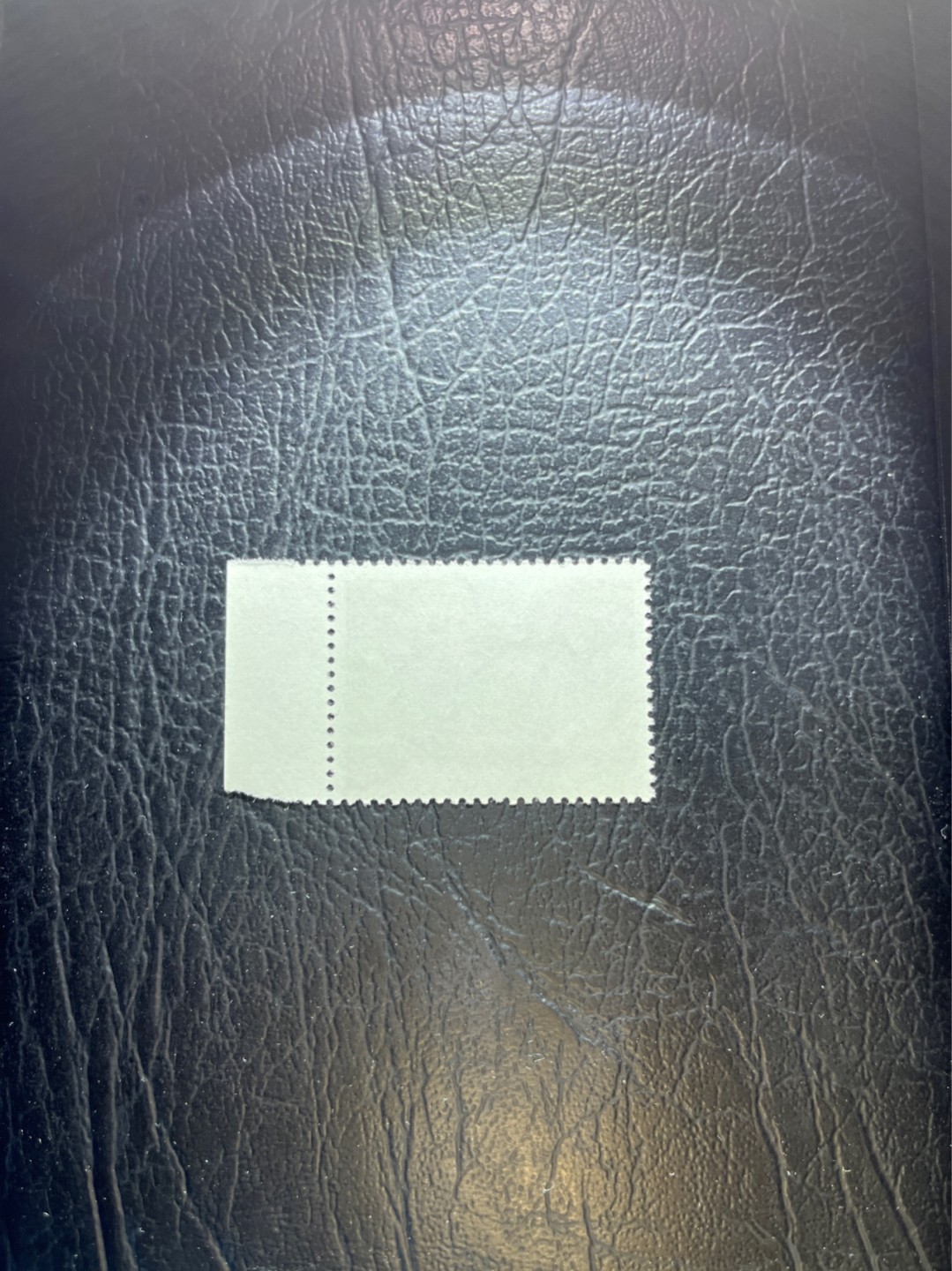 洪涛臻品 精选邮票限时拍卖第三十一期 文17  10分 全品1枚，边纸数字10，三俗稀缺，喜欢不要错过，全品可评级。！《ASG评级处于初级阶段，注意建仓便宜的版撕货，未来市场前景不可估量！！！！》