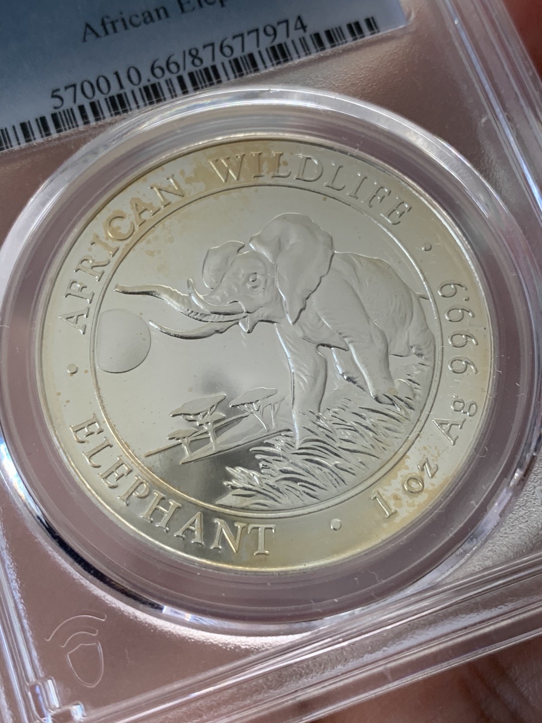 《竞宝斋》第95场-本周日，周一，周四，3场连拍（全场不限金额包邮） PCGS-MS66  索马里 2016年100先令 非洲大象银币  