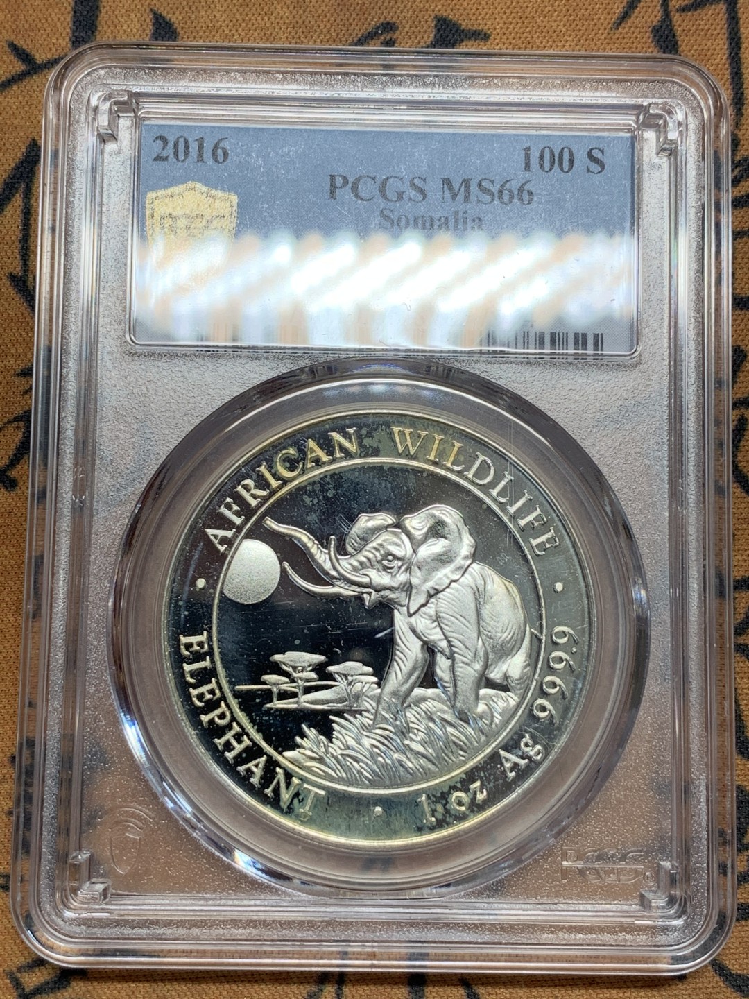 《竞宝斋》第95场-本周日，周一，周四，3场连拍（全场不限金额包邮） PCGS-MS66  索马里 2016年100先令 非洲大象银币  