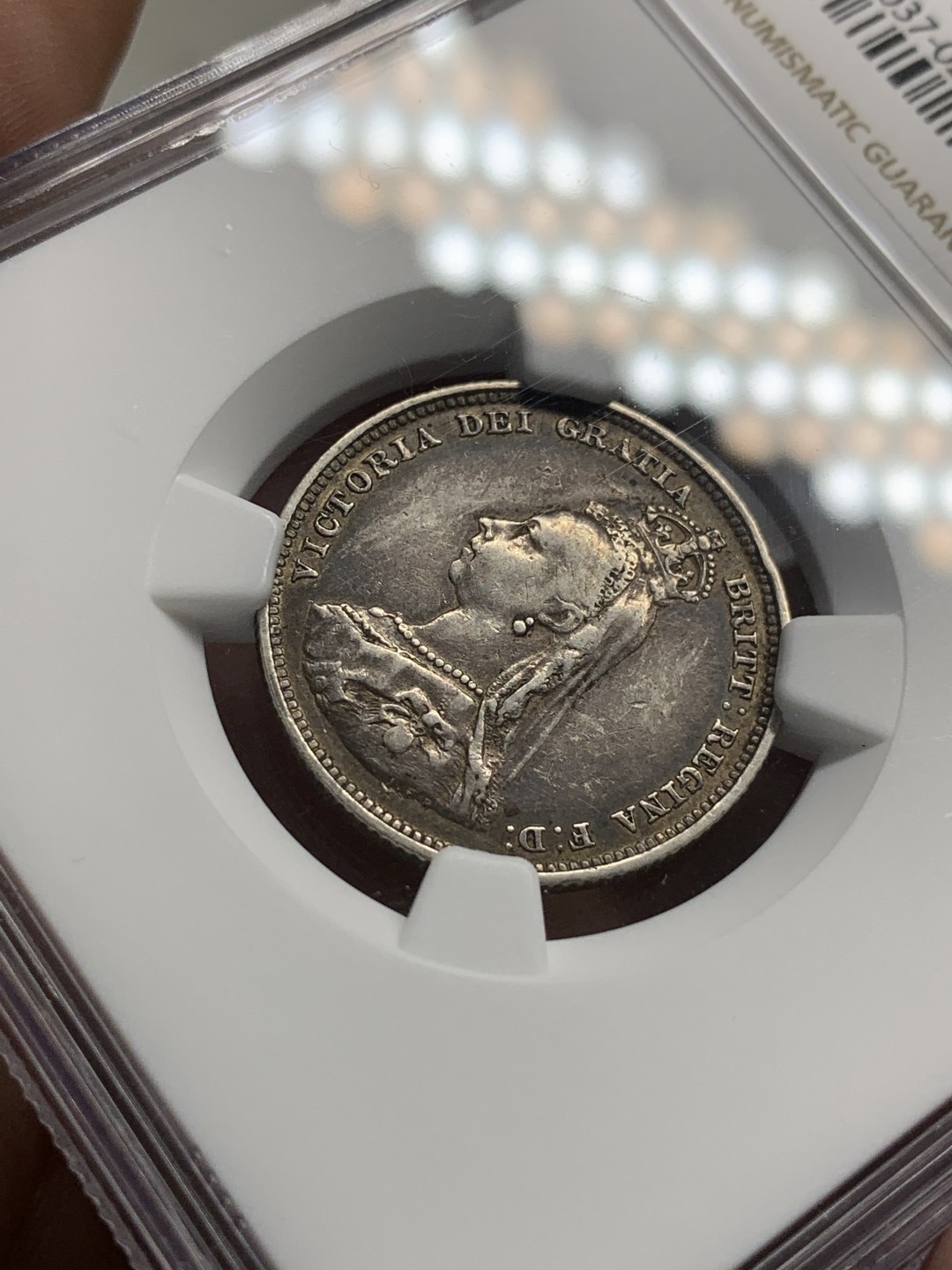 《竞宝斋》第95场-本周日，周一，周四，3场连拍（全场不限金额包邮） NGC-XFD 英国维多利亚 1887年1先令 银币 包浆非常的漂亮