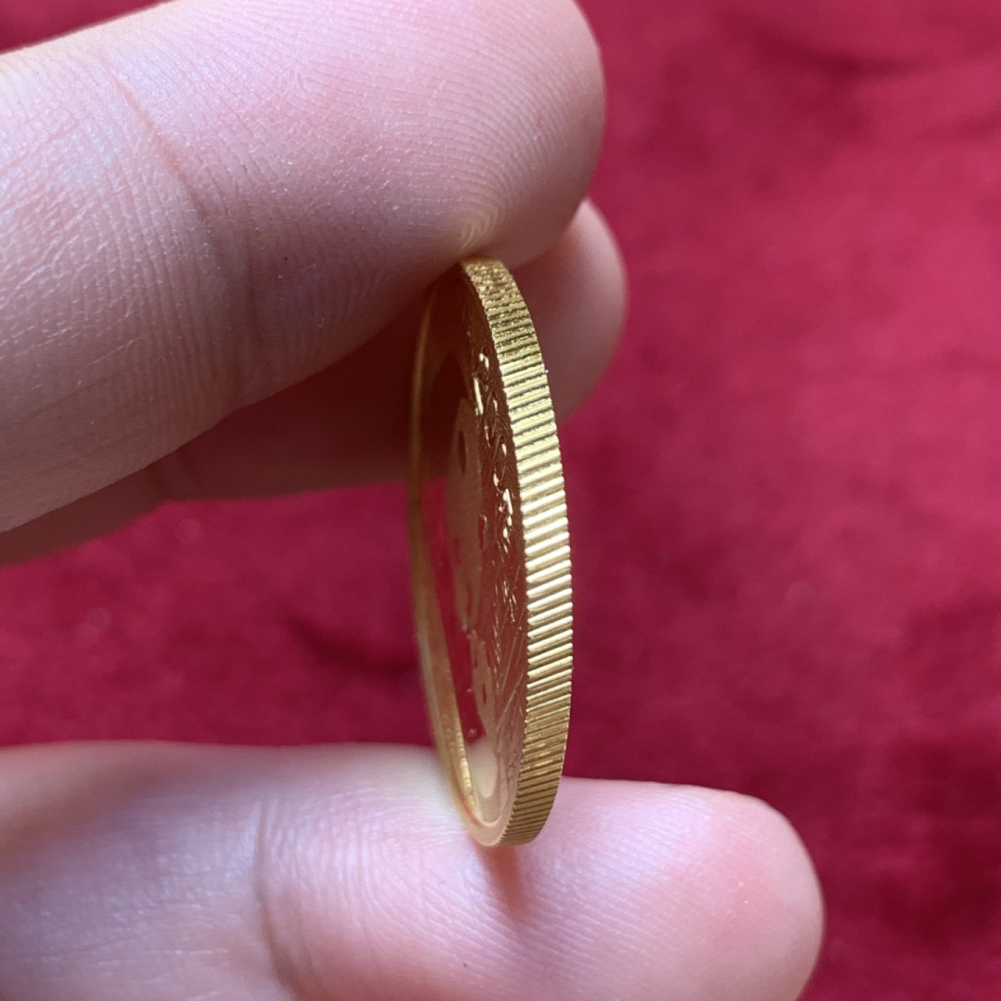 《竞宝斋》第95场-本周日，周一，周四，3场连拍（全场不限金额包邮） 2011年熊猫金币1/2盎司，约合15.55克，含金量99.9%