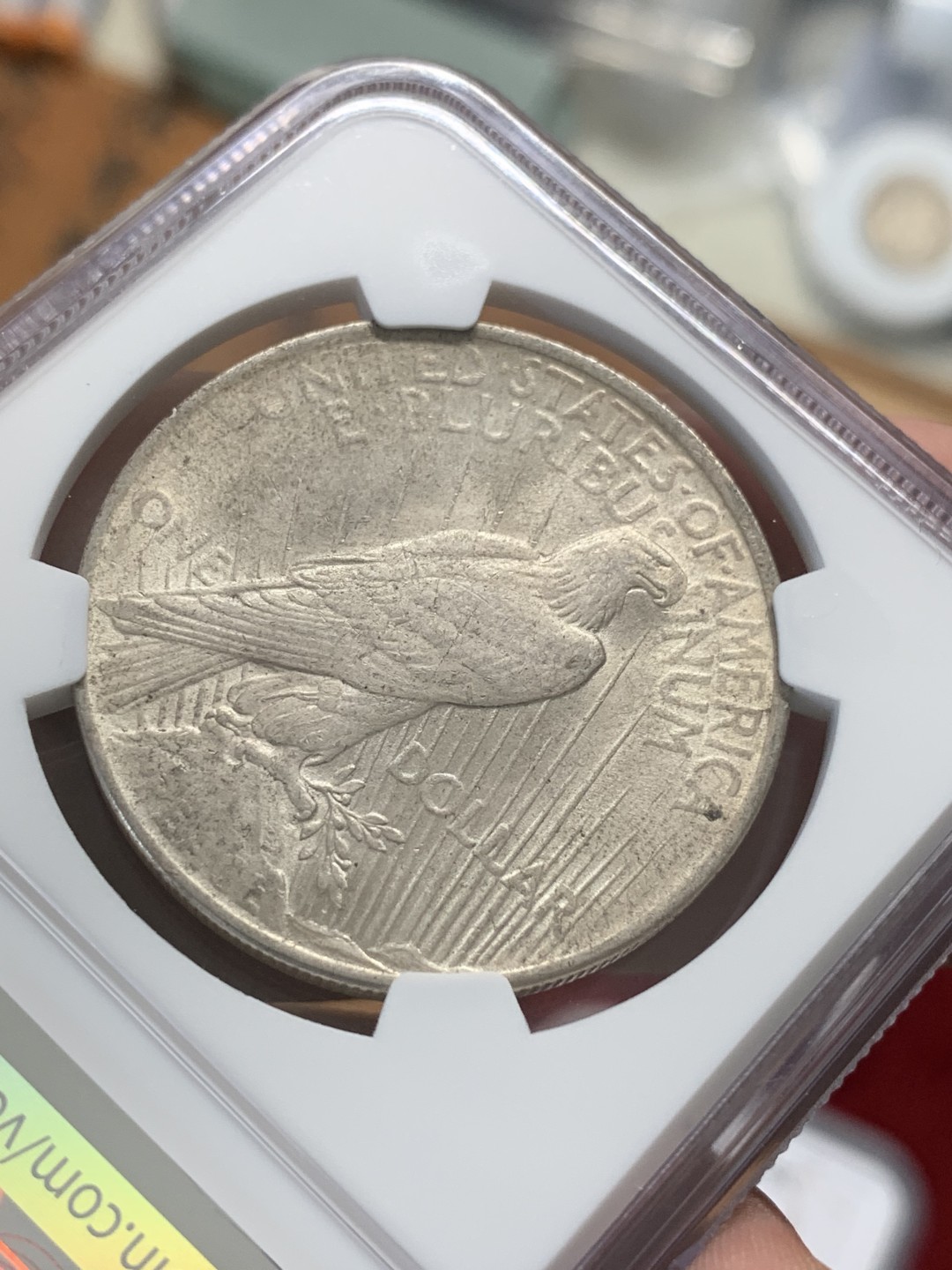 《竞宝斋》第95场-本周日，周一，周四，3场连拍（全场不限金额包邮） NGC-MS63 美国1923年 和平鸽1元大银币 原光好品