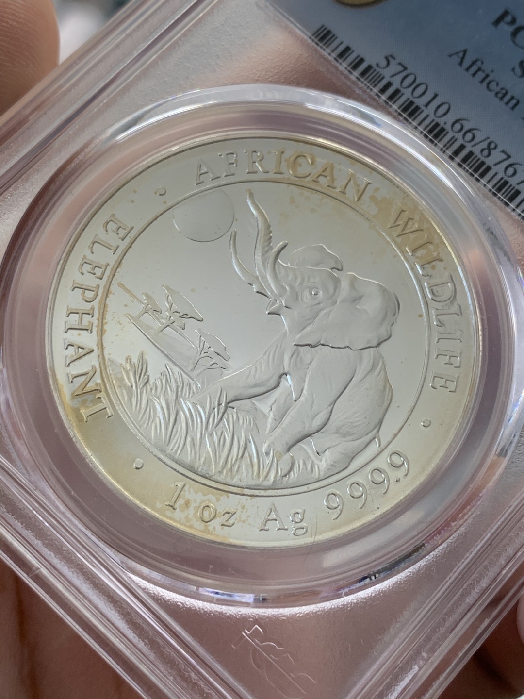 《竞宝斋》第95场-本周日，周一，周四，3场连拍（全场不限金额包邮） PCGS-MS66  索马里 2016年100先令 非洲大象银币  