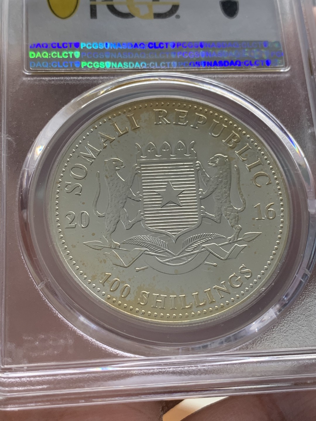 《竞宝斋》第95场-本周日，周一，周四，3场连拍（全场不限金额包邮） PCGS-MS66  索马里 2016年100先令 非洲大象银币  