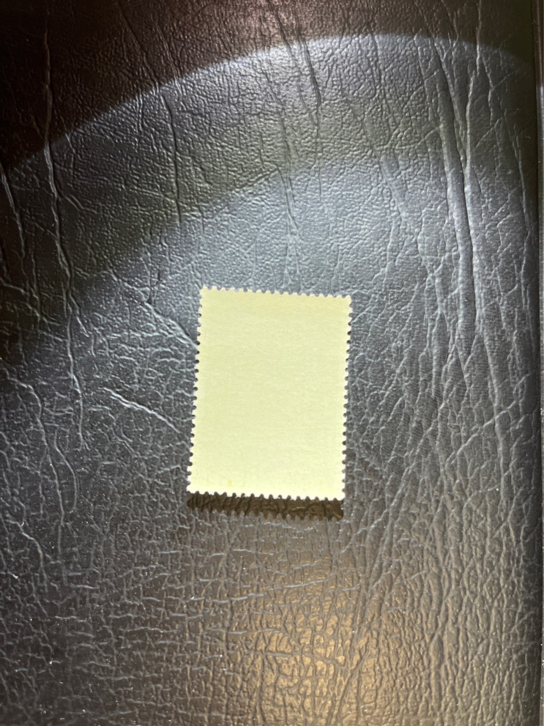 洪涛臻品 精选邮票限时拍卖第三十二期 纪93杜甫盖销 2-1一枚，版撕全品，老纪特高价精品票，全品新票一套价格8000一样难求，盖销版撕精品值得珍惜，注意捡漏