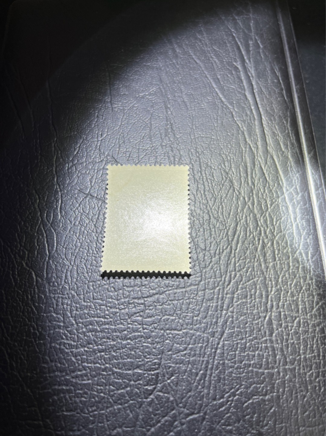 洪涛臻品 精选邮票限时拍卖第三十二期 特46唐三彩 8-2盖销 版撕全品嘎嘎绝。解放初的经典票，整版撕开，面艳胶白，票挺洁净，齿孔完美，收藏评级两相宜。老纪特的版票资源十分稀缺难寻，机会来临时必须抓住。