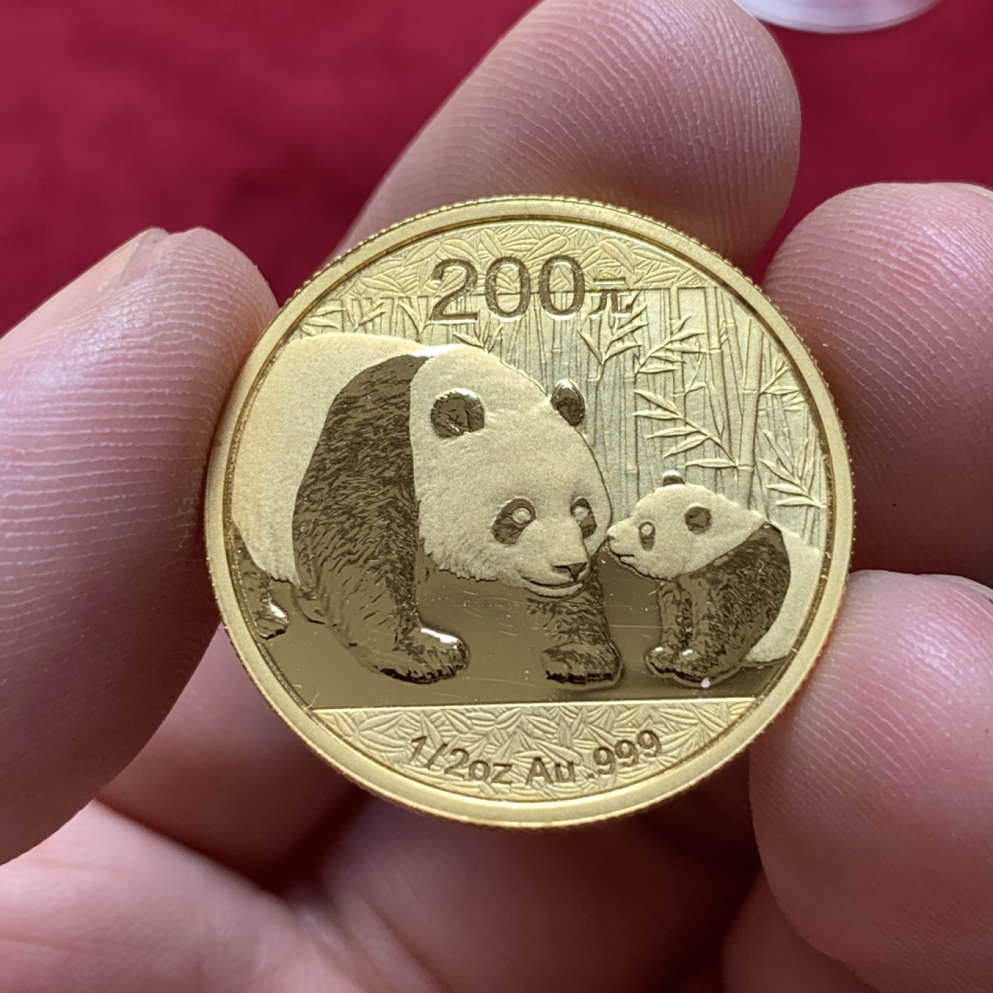 《竞宝斋》第95场-本周日，周一，周四，3场连拍（全场不限金额包邮） 2011年熊猫金币1/2盎司，约合15.55克，含金量99.9%