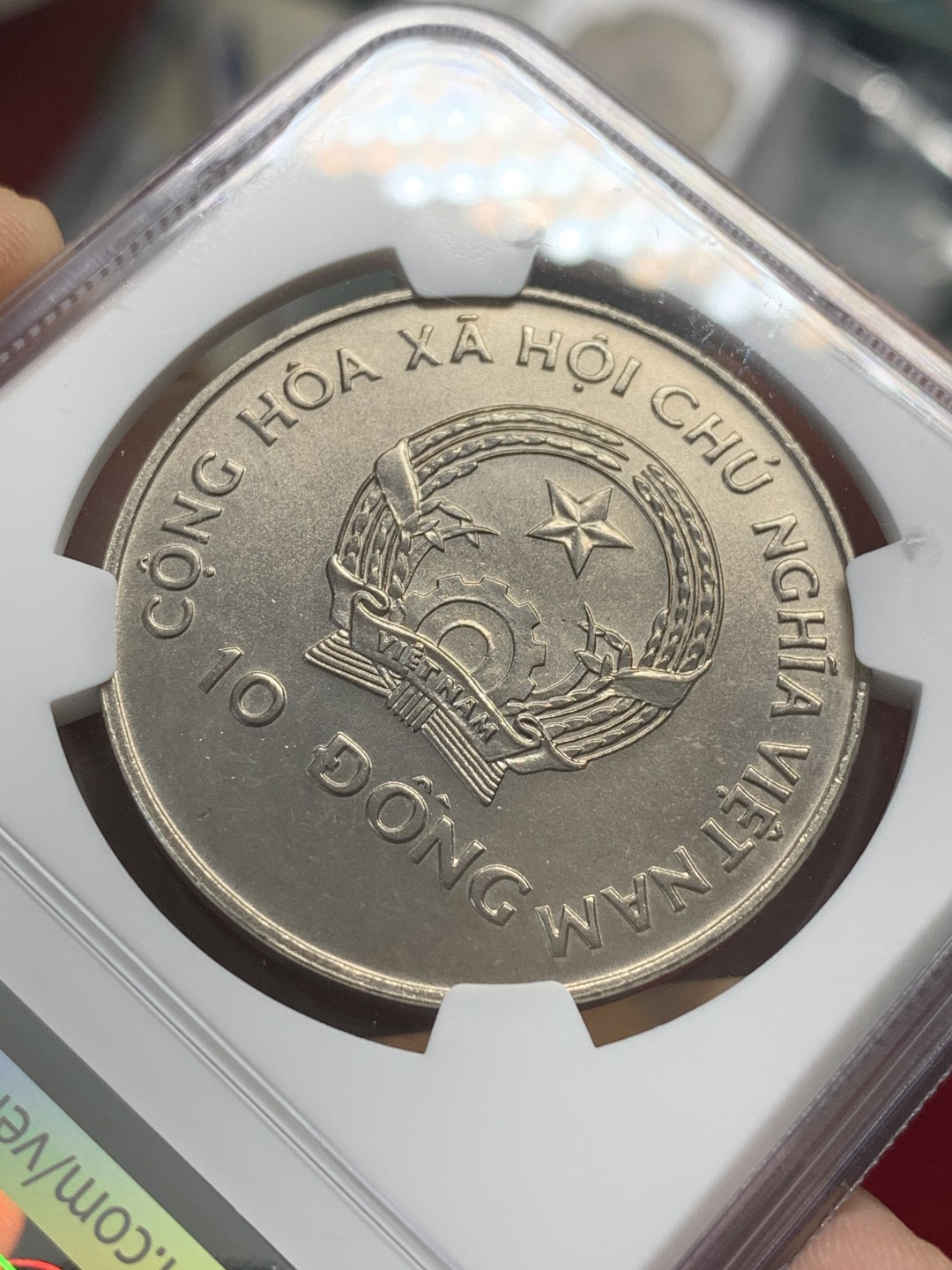 《竞宝斋》第95场-本周日，周一，周四，3场连拍（全场不限金额包邮） NGC-MS66 1996年越南10盾大镍币（农业币，大币面）