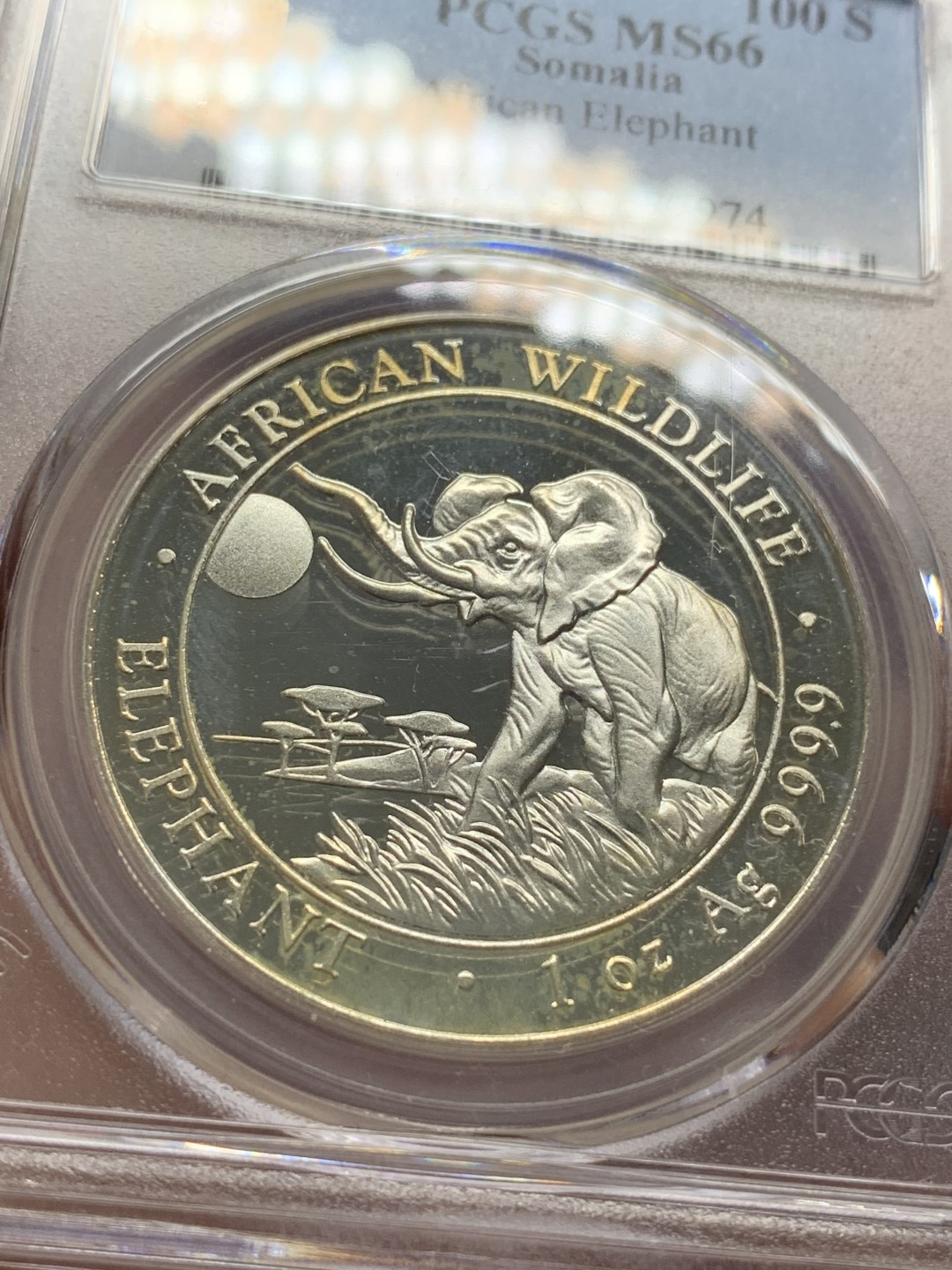 《竞宝斋》第95场-本周日，周一，周四，3场连拍（全场不限金额包邮） PCGS-MS66  索马里 2016年100先令 非洲大象银币  