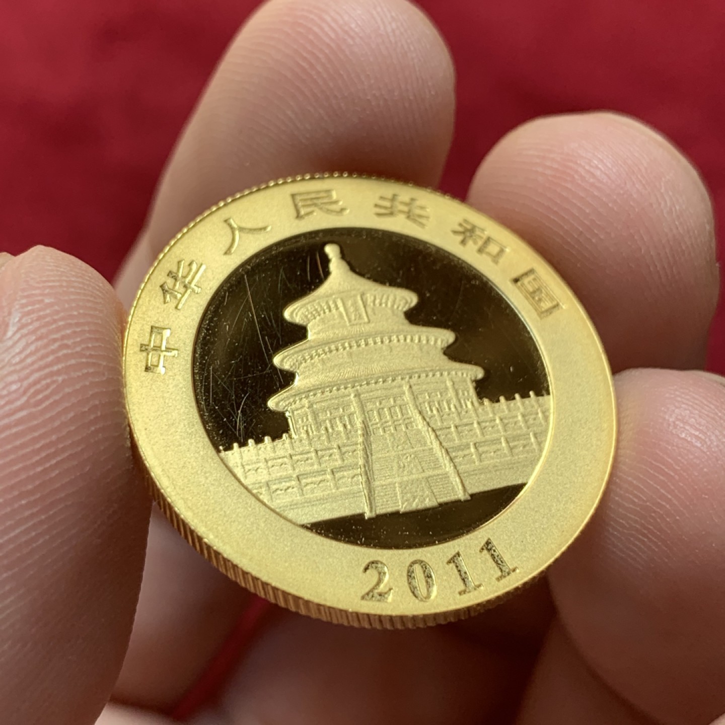 《竞宝斋》第95场-本周日，周一，周四，3场连拍（全场不限金额包邮） 2011年熊猫金币1/2盎司，约合15.55克，含金量99.9%