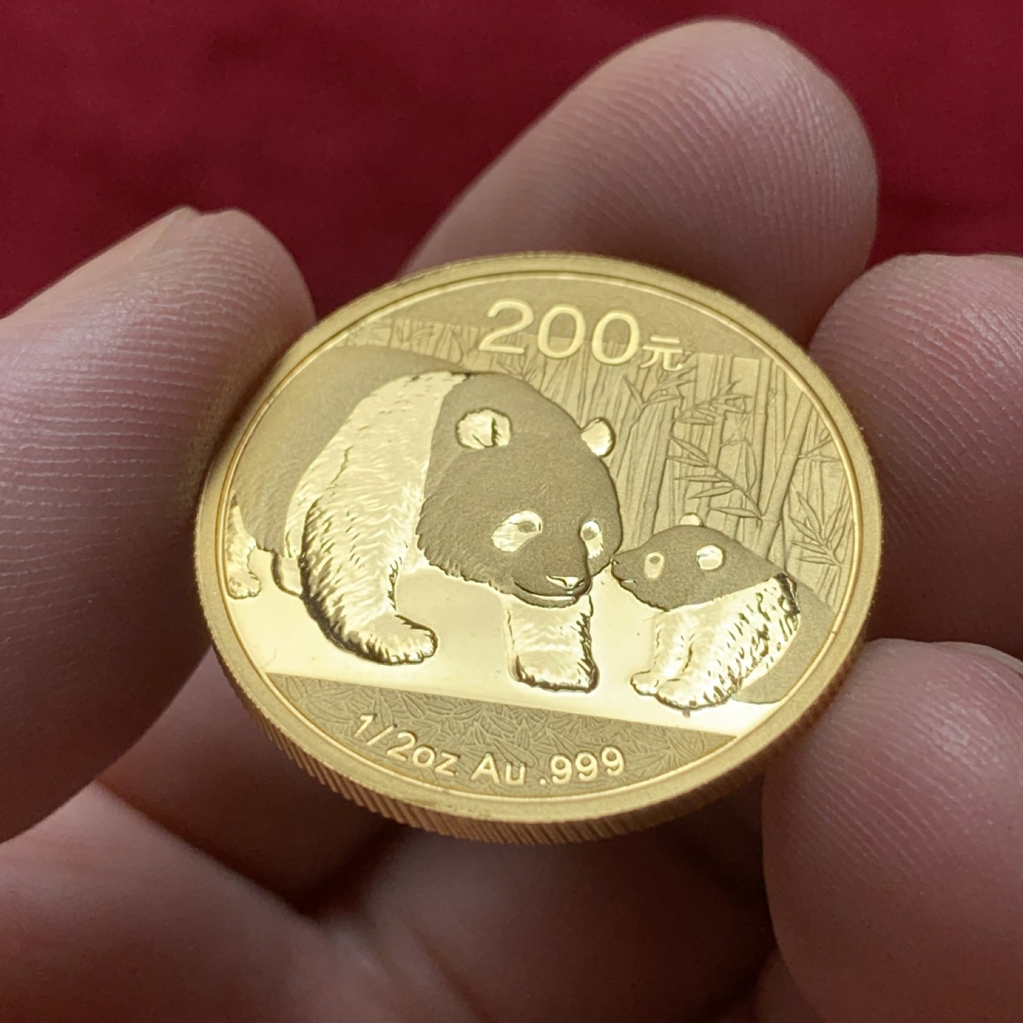 《竞宝斋》第95场-本周日，周一，周四，3场连拍（全场不限金额包邮） 2011年熊猫金币1/2盎司，约合15.55克，含金量99.9%