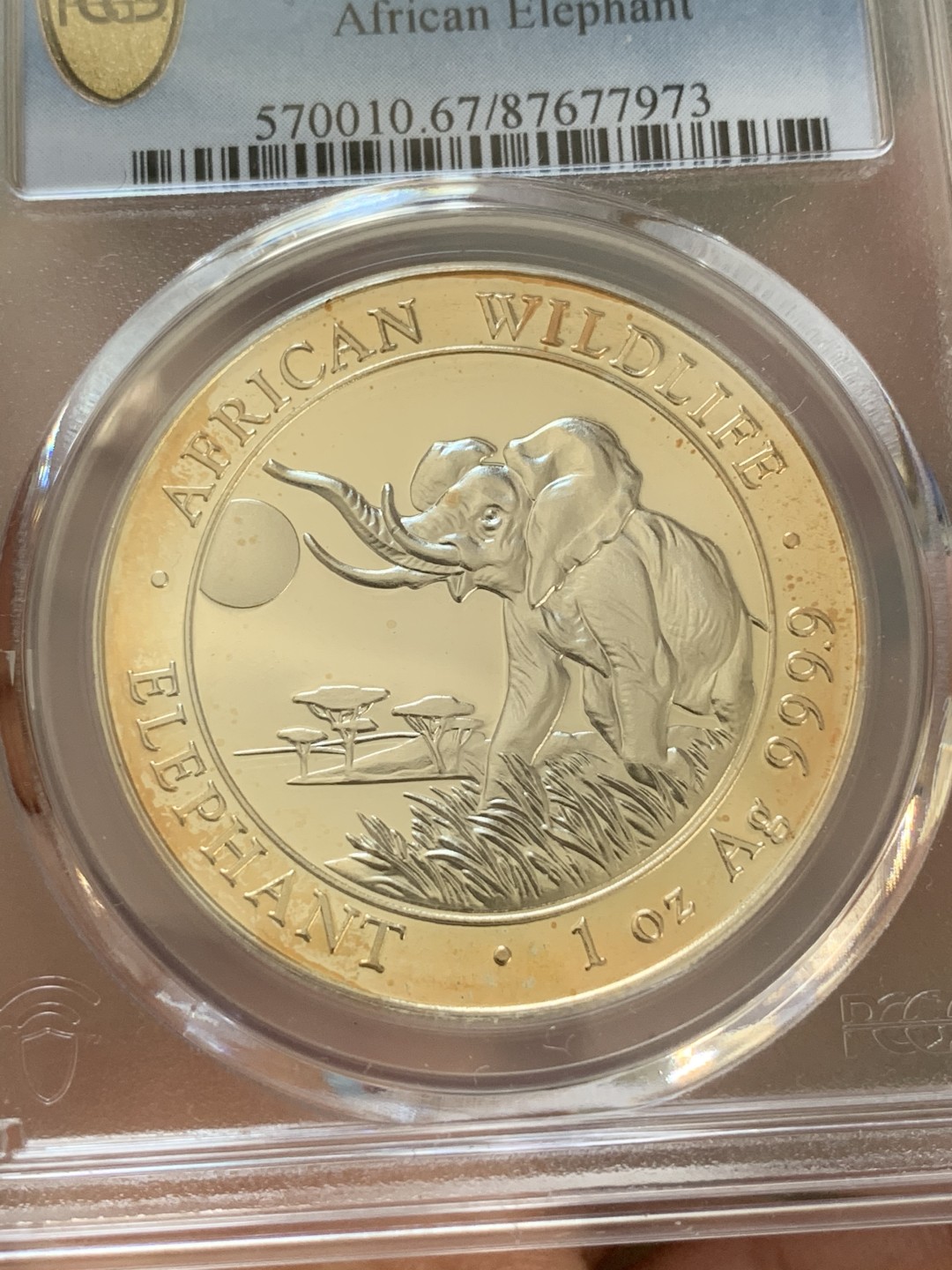 《竞宝斋》第96场-本周日，周一，周四，3场连拍（全场不限金额包邮） PCGS-MS67  索马里 2016年100先令 非洲大象银币 状态好