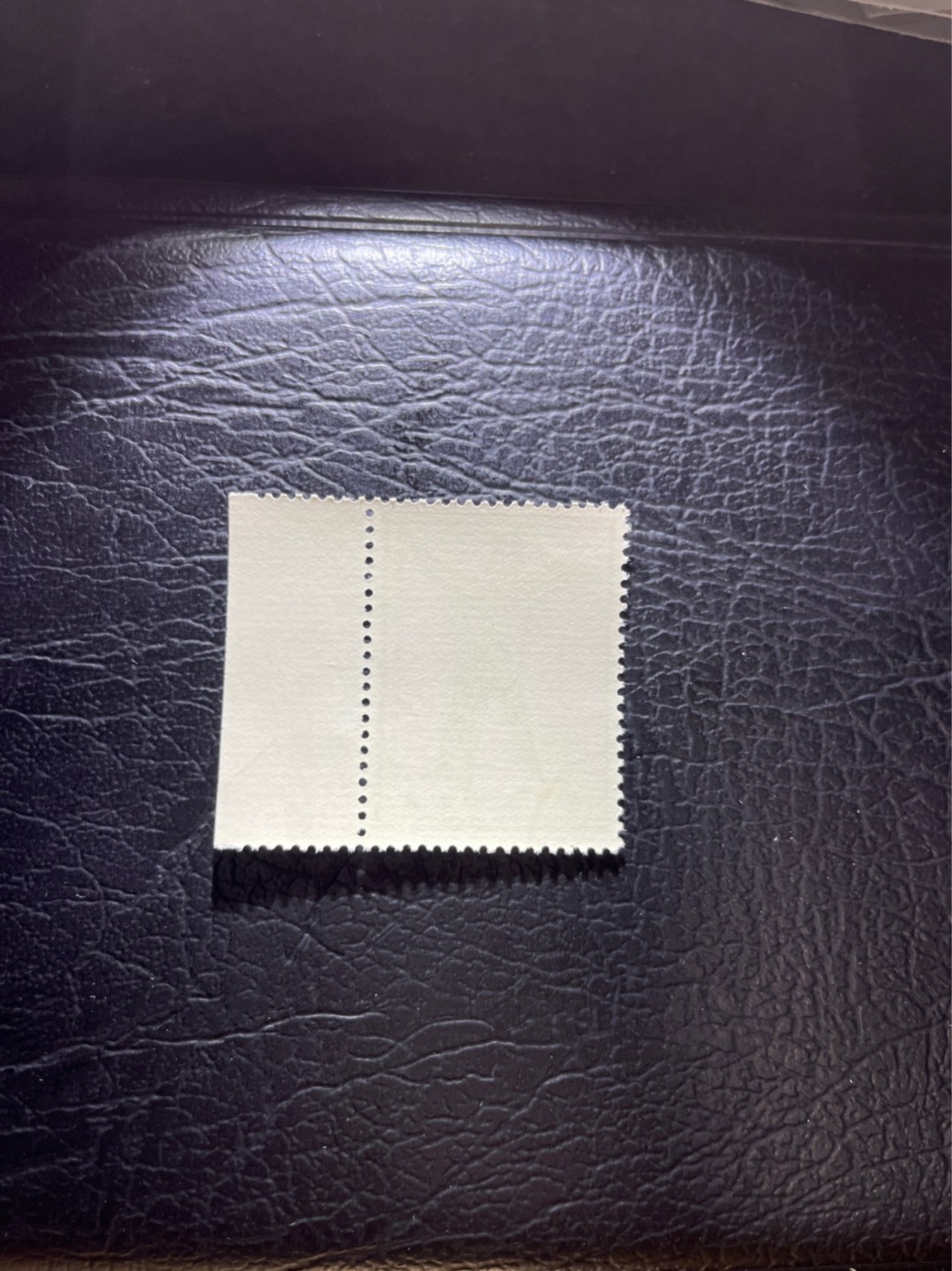洪涛臻品 精选邮票限时拍卖第三十三期 特63青铜器8-1盖销  色标，版撕全品嘎嘎绝，老纪特三俗稀缺货，低价入货最佳时机。  解放初的经典票，整版撕开，面艳胶白，票挺洁净，齿孔完美，收藏评级两相宜，且有高附加值边纸。老纪特的版票资源十分稀缺难寻，机会来临时必须抓住。