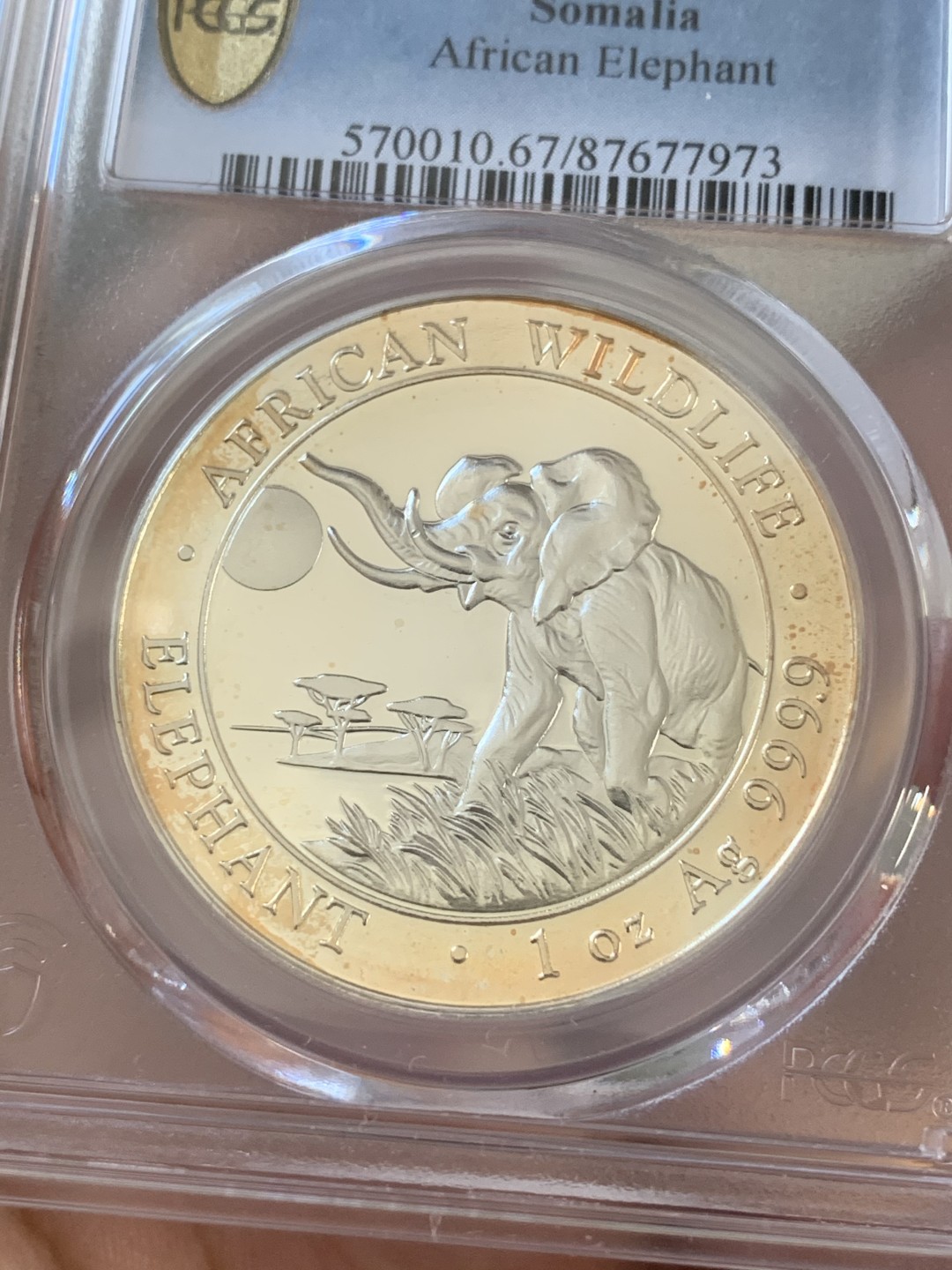 《竞宝斋》第96场-本周日，周一，周四，3场连拍（全场不限金额包邮） PCGS-MS67  索马里 2016年100先令 非洲大象银币 状态好