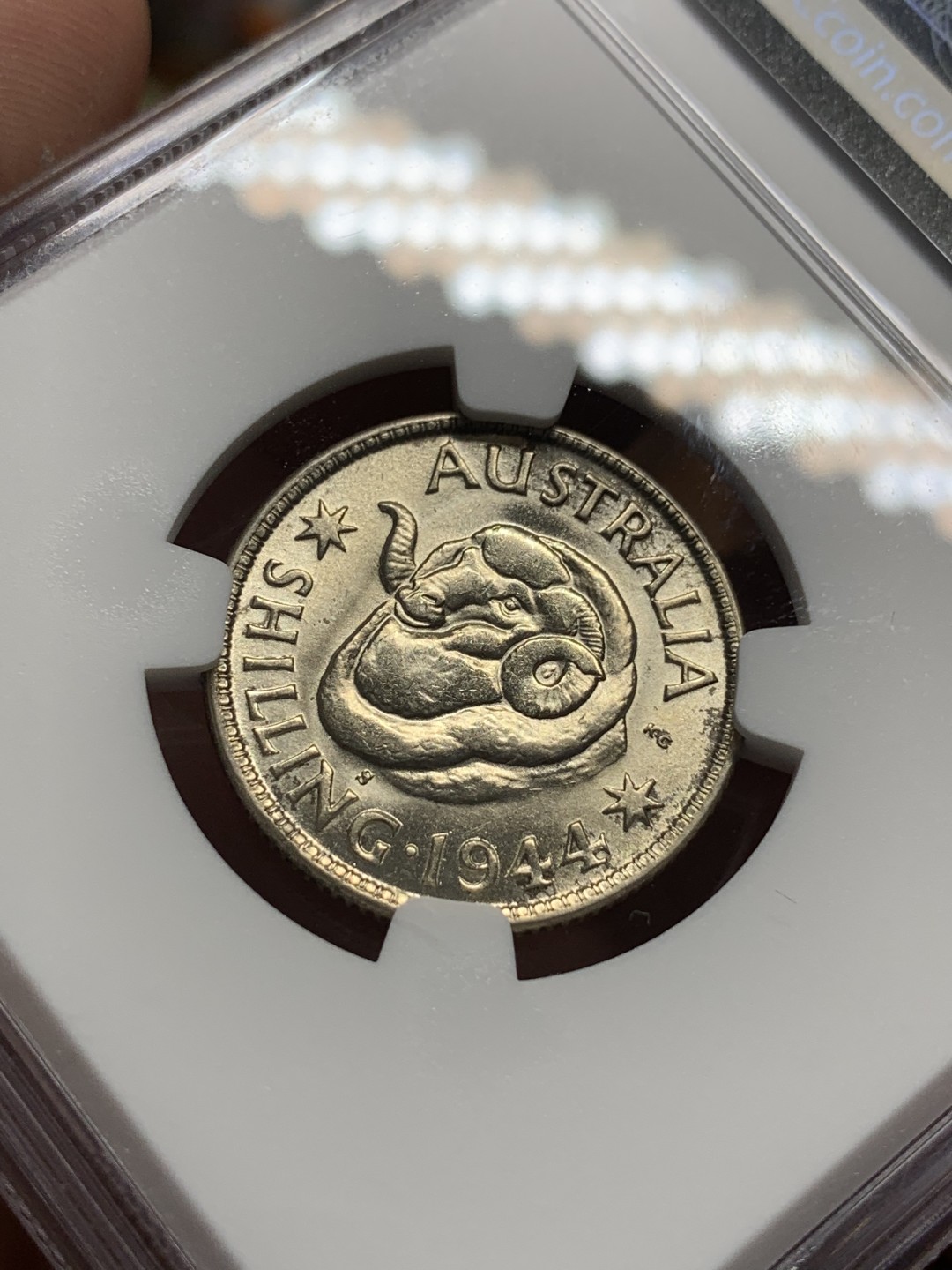 《竞宝斋》第96场-本周日，周一，周四，3场连拍（全场不限金额包邮） NGC MS63 澳大利亚 1944年 乔治六世 绵羊 1先令 银币 暴光状态