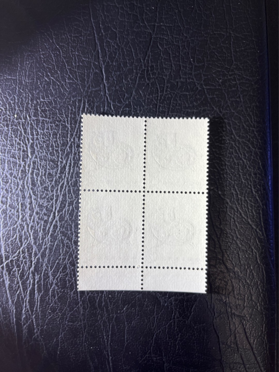 洪涛臻品 精选邮票限时拍卖第三十七期 T80生肖猪 方连一组  版撕全品嘎嘎绝，齿孔饱满，背面雪白，带硅胶手套撕版没有触痕，可评级。版撕红猪数量有限，注意捡漏