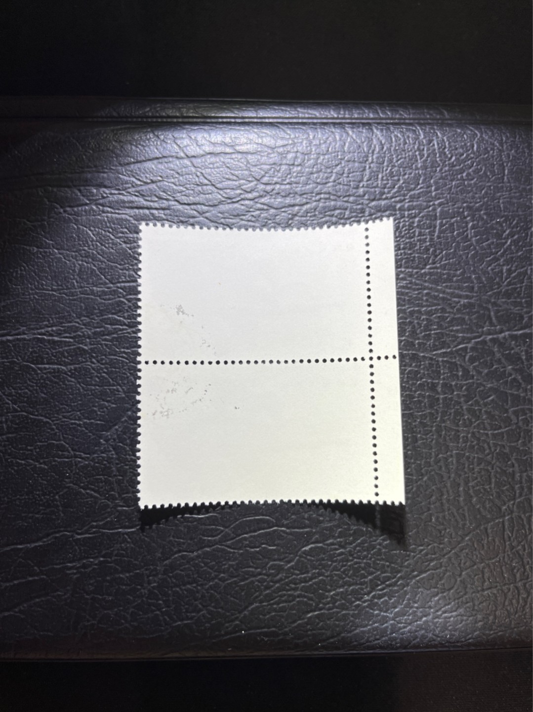 洪涛臻品 精选邮票限时拍卖第六十九期 热门品种，特74解放军  盖销  厂名竖2连一组，★完美品相★ 老纪特三俗稀缺，经典热门票，版撕全品嘎嘎绝，面艳胶白，撕口新，适合收藏，喜欢不要错过，全品可评级《ASG评级处于初级阶段，趁便宜囤精品版撕票，后市不可估量》