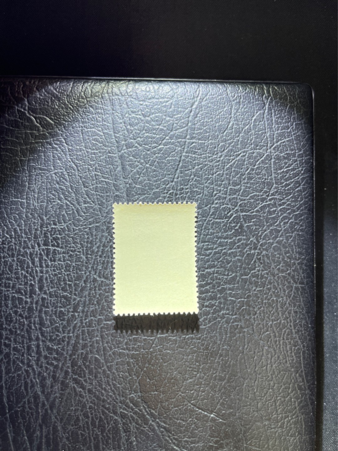 洪涛臻品 精选邮票限时拍卖第三十三期 纪93杜甫盖销 2-1一枚，版撕全品，面艳胶白  老纪特高价精品票，全品新票一套价格8000一样难求，盖销版撕精品值得珍惜，注意捡漏