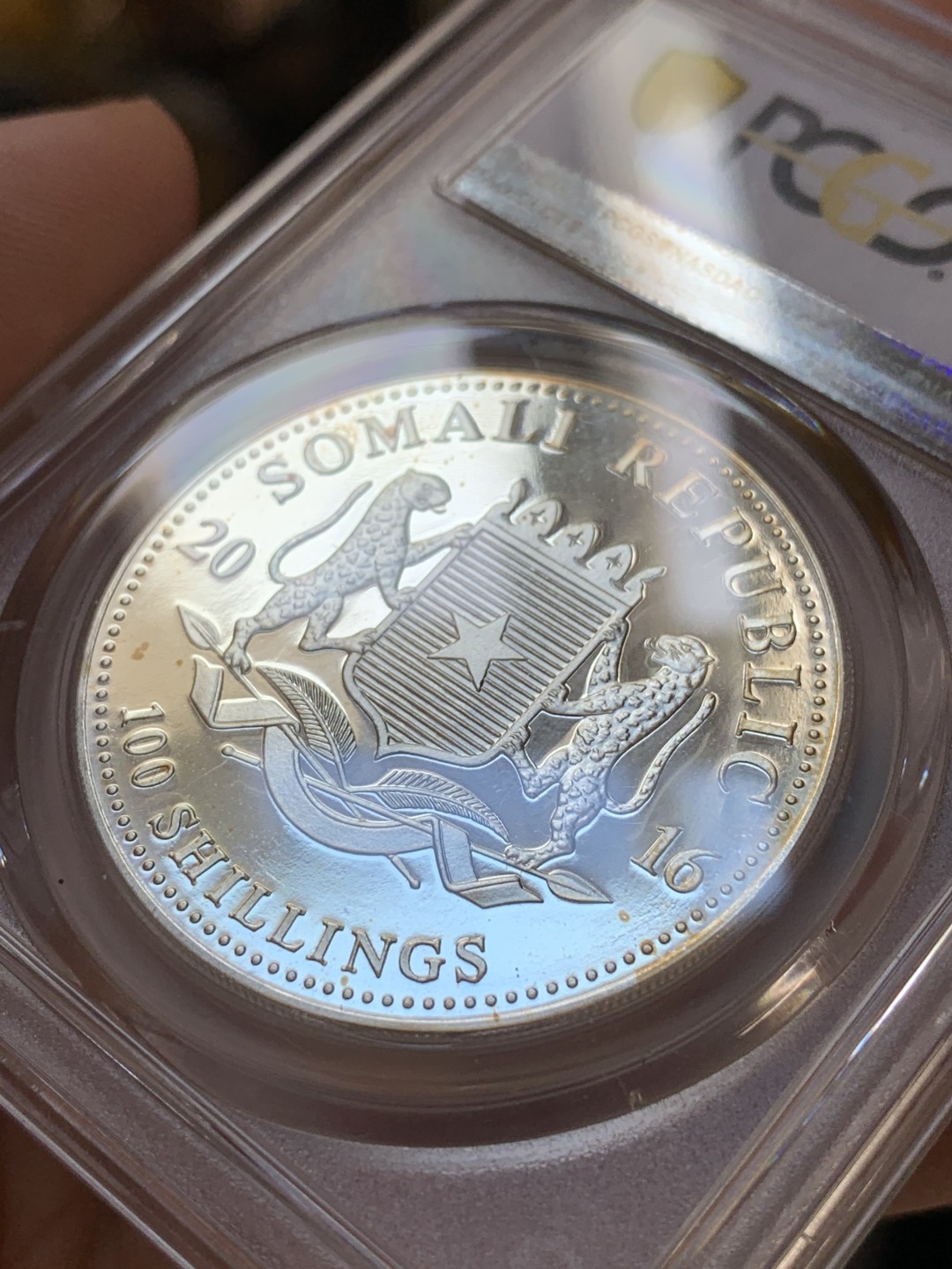 《竞宝斋》第96场-本周日，周一，周四，3场连拍（全场不限金额包邮） PCGS-MS67  索马里 2016年100先令 非洲大象银币 状态好